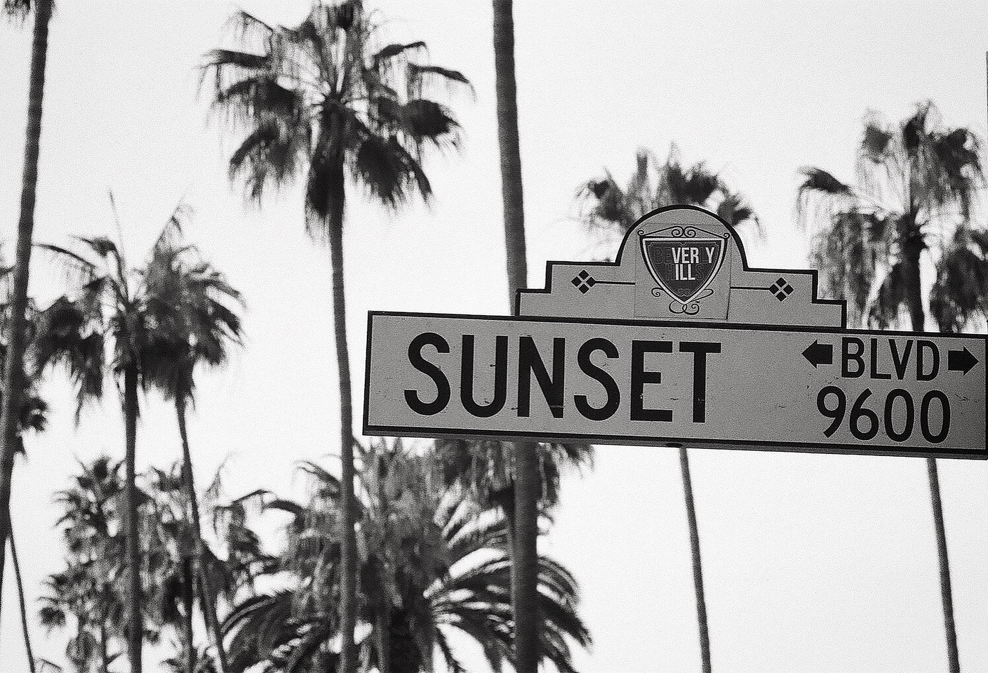 Sunset Boulevard Blanco y Negro Fondos de pantalla