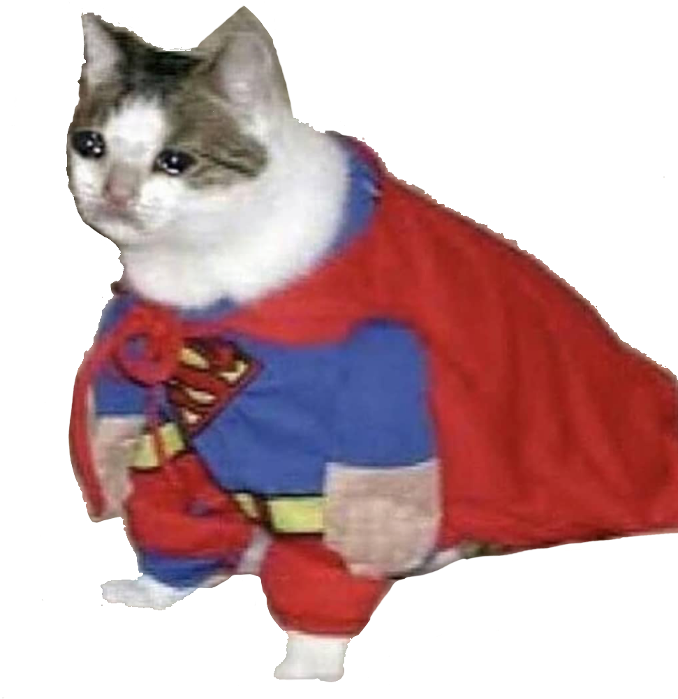 Super Cat_ Héroe_ Meme.PNG Fondos de pantalla
