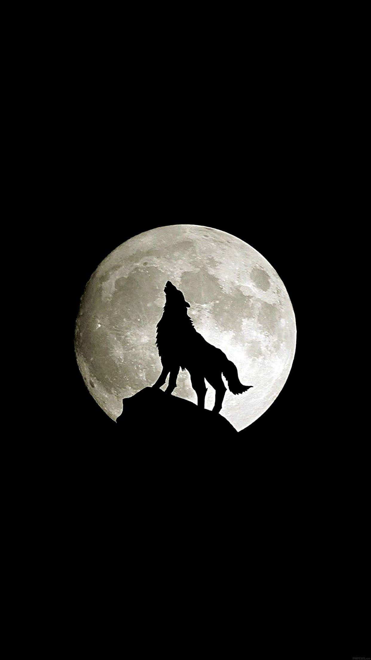 Surfea la naturaleza con Wolf iPhone Fondos de pantalla