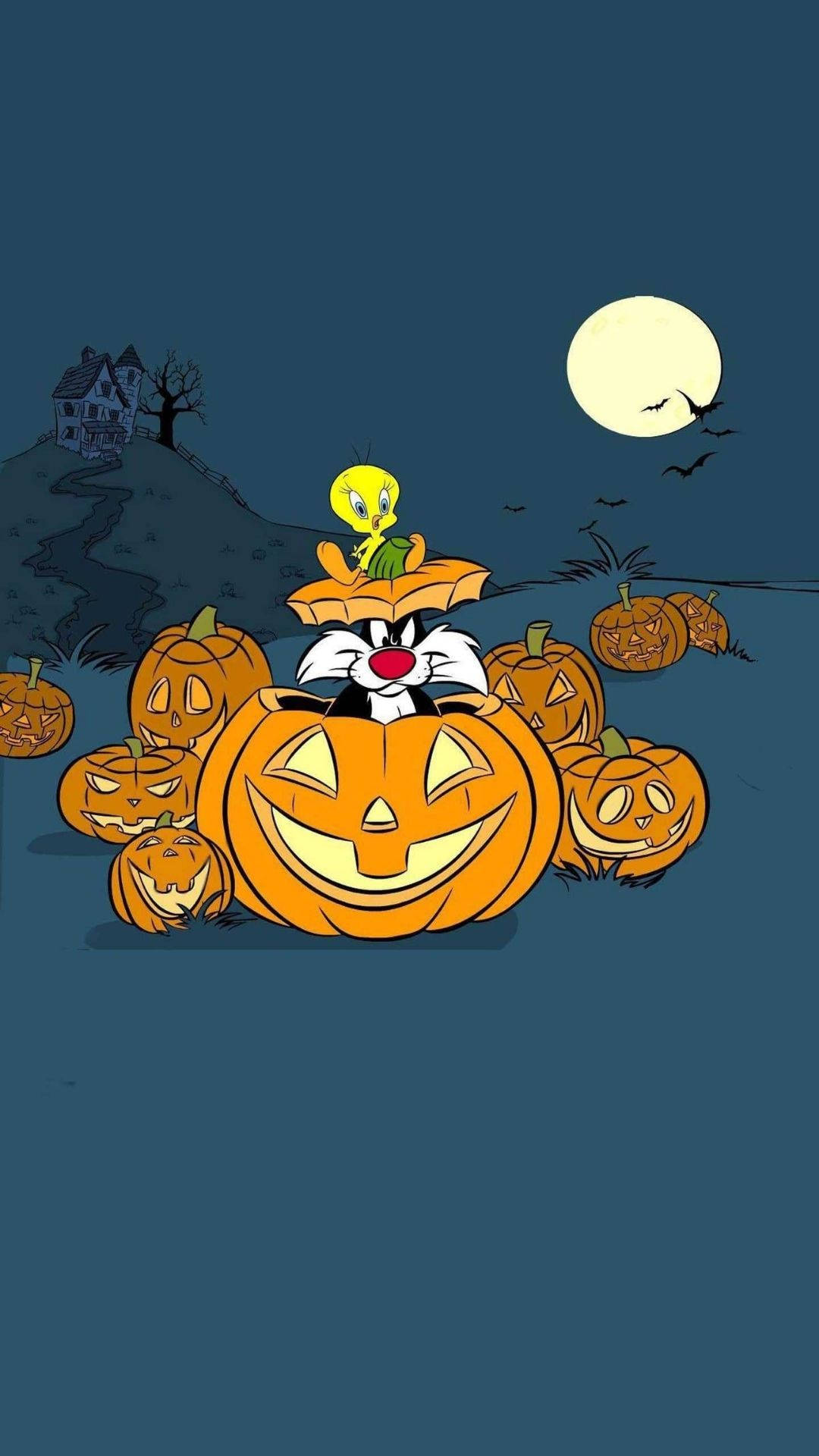 Sylvester en Calabaza Halloween Caricatura Fondos de pantalla