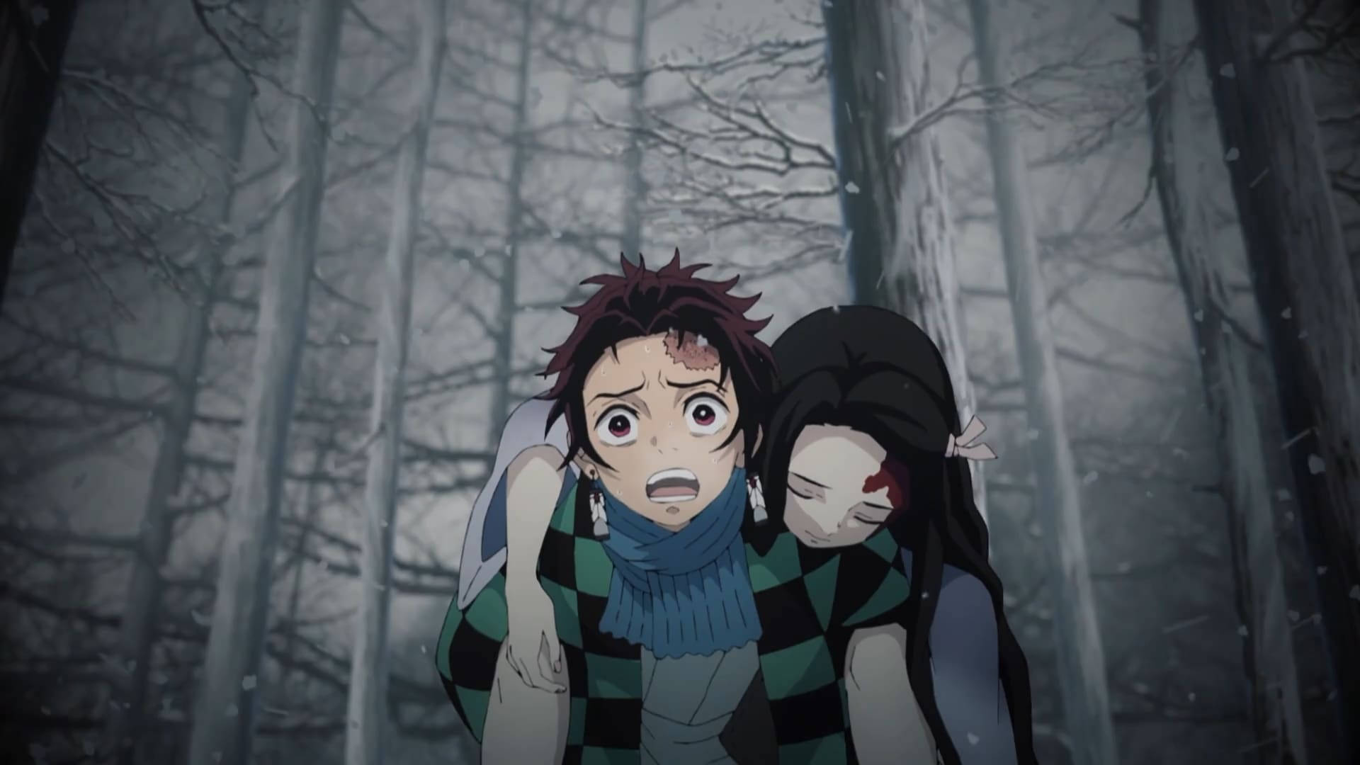 Fondo de pantalla de Demon Slayer de Kamado Tanjiro cargando a una Nezuko herida.