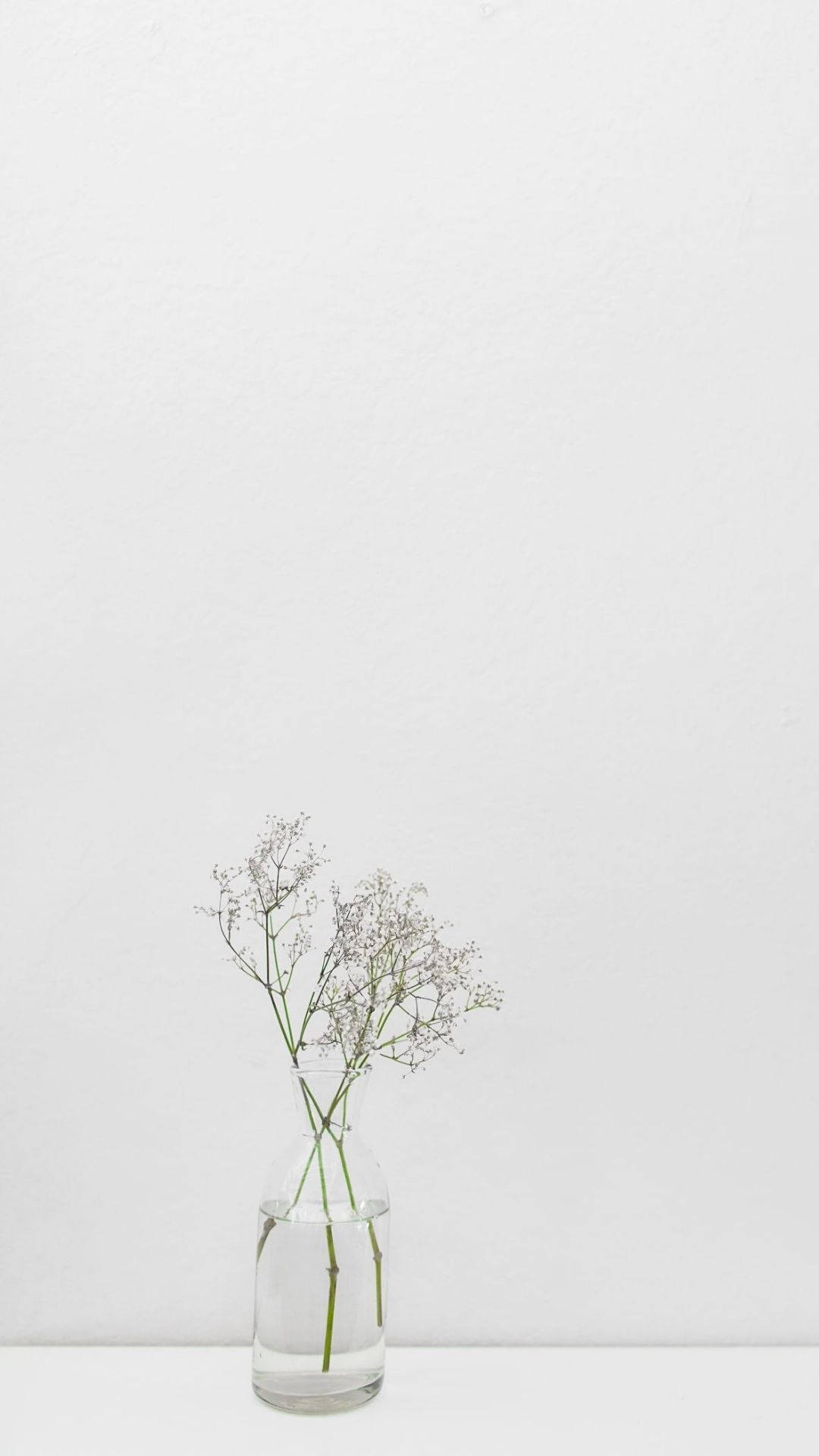Tarro Blanco Minimalista Fondos de pantalla