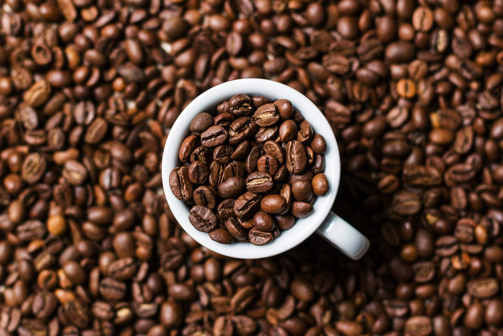 Taza blanca llena de granos de café Fondos de pantalla