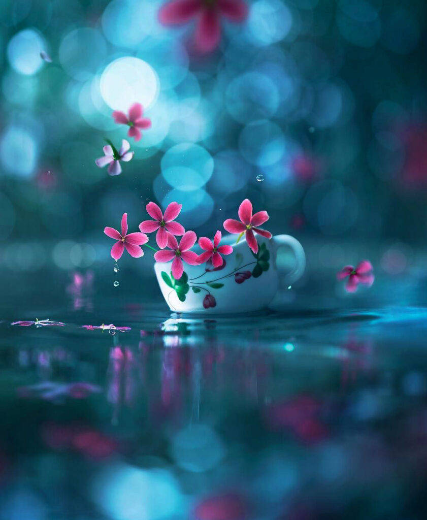 Taza de Flores para Foto de Perfil de WhatsApp Fondos de pantalla