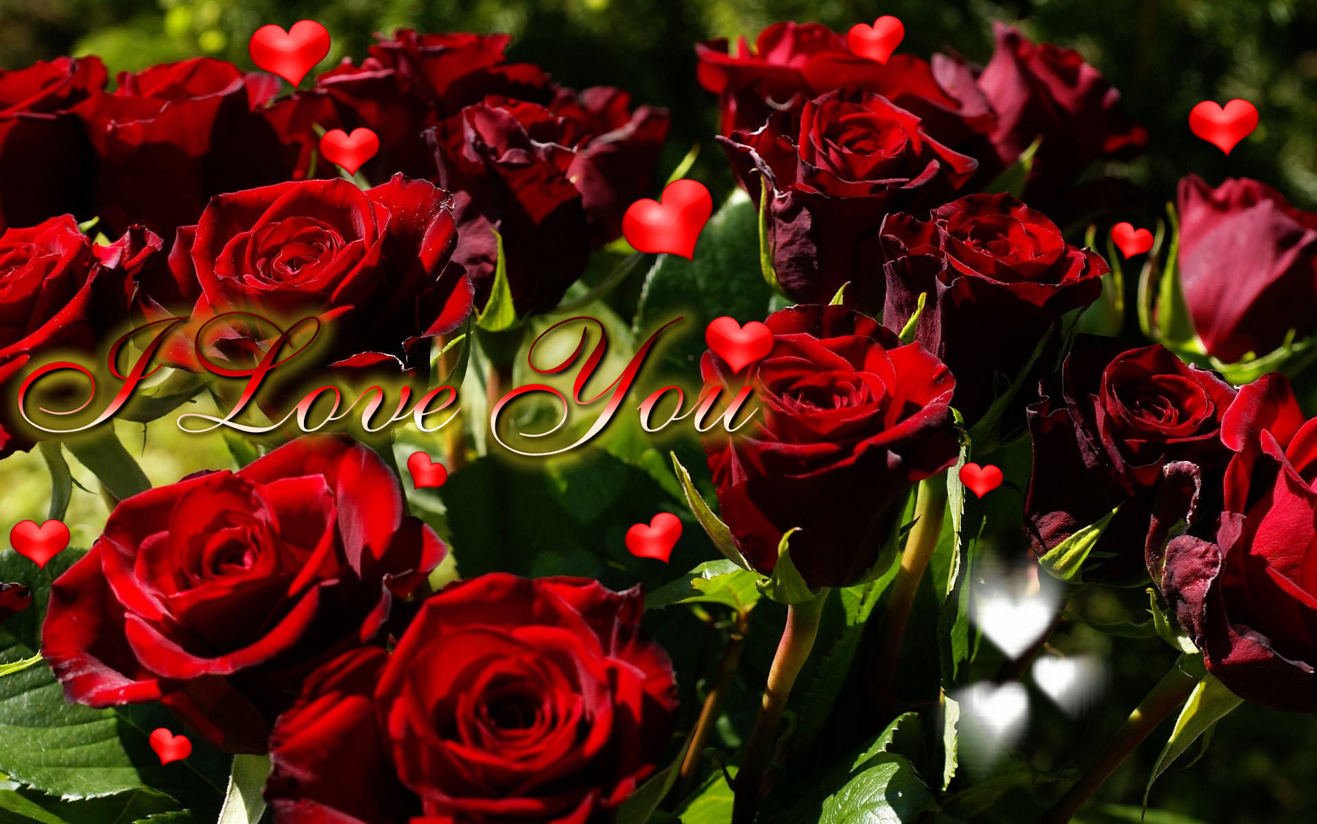 Te Amo Mucho con Rosas Fondos de pantalla
