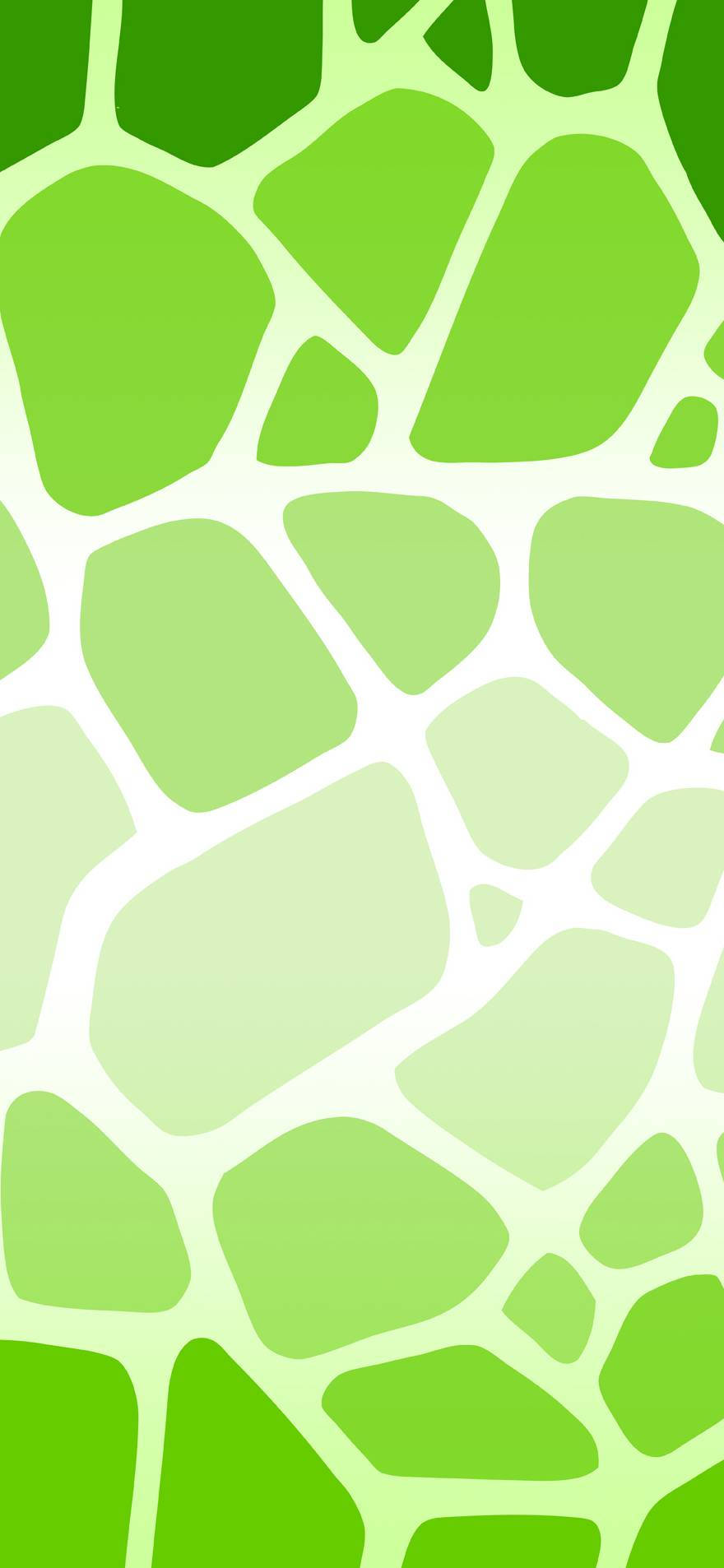 Teléfono con Estampado de Vaca Verde Claro Fondos de pantalla