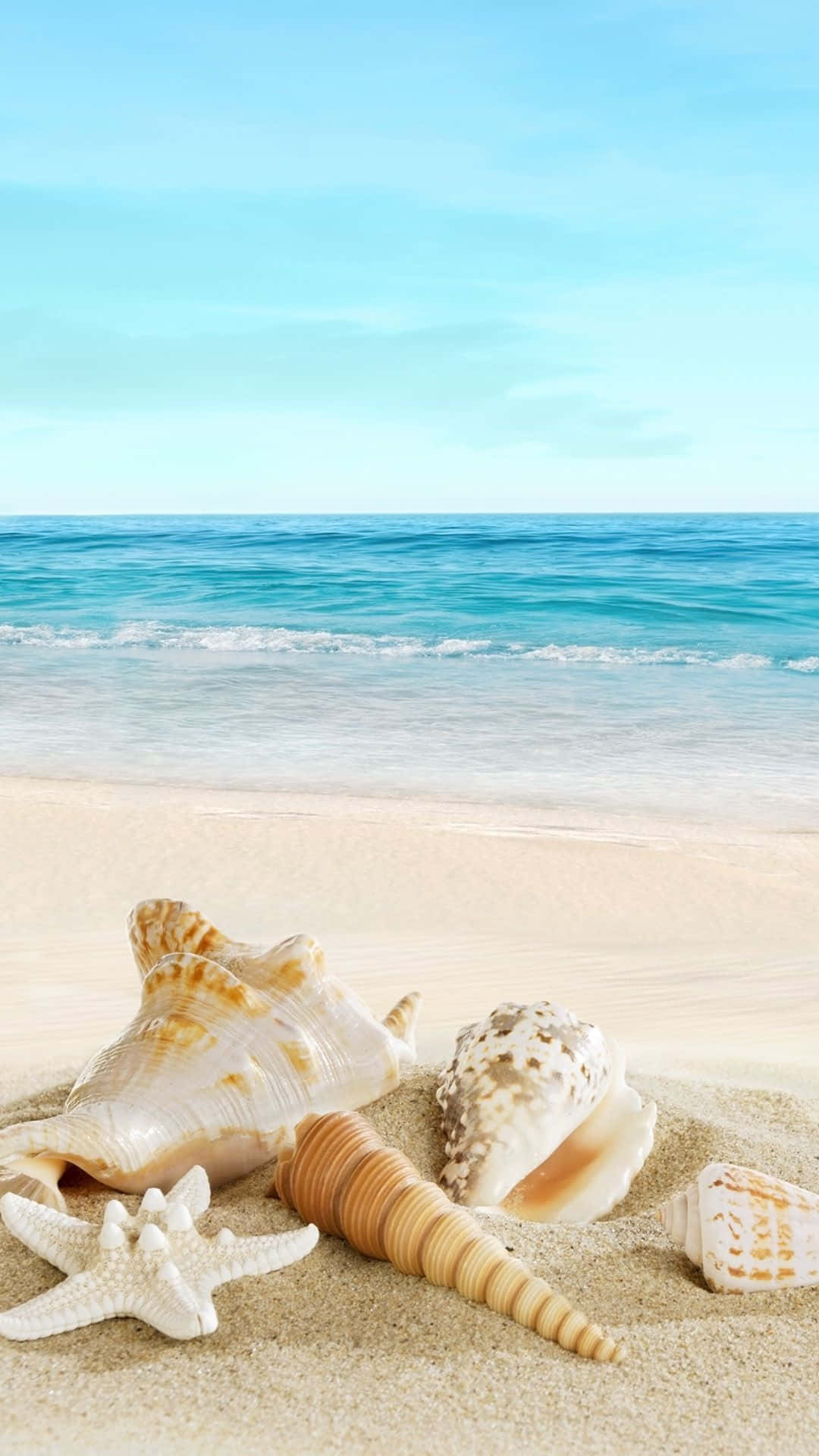 Teléfono en la Playa con Conchas Fondos de pantalla