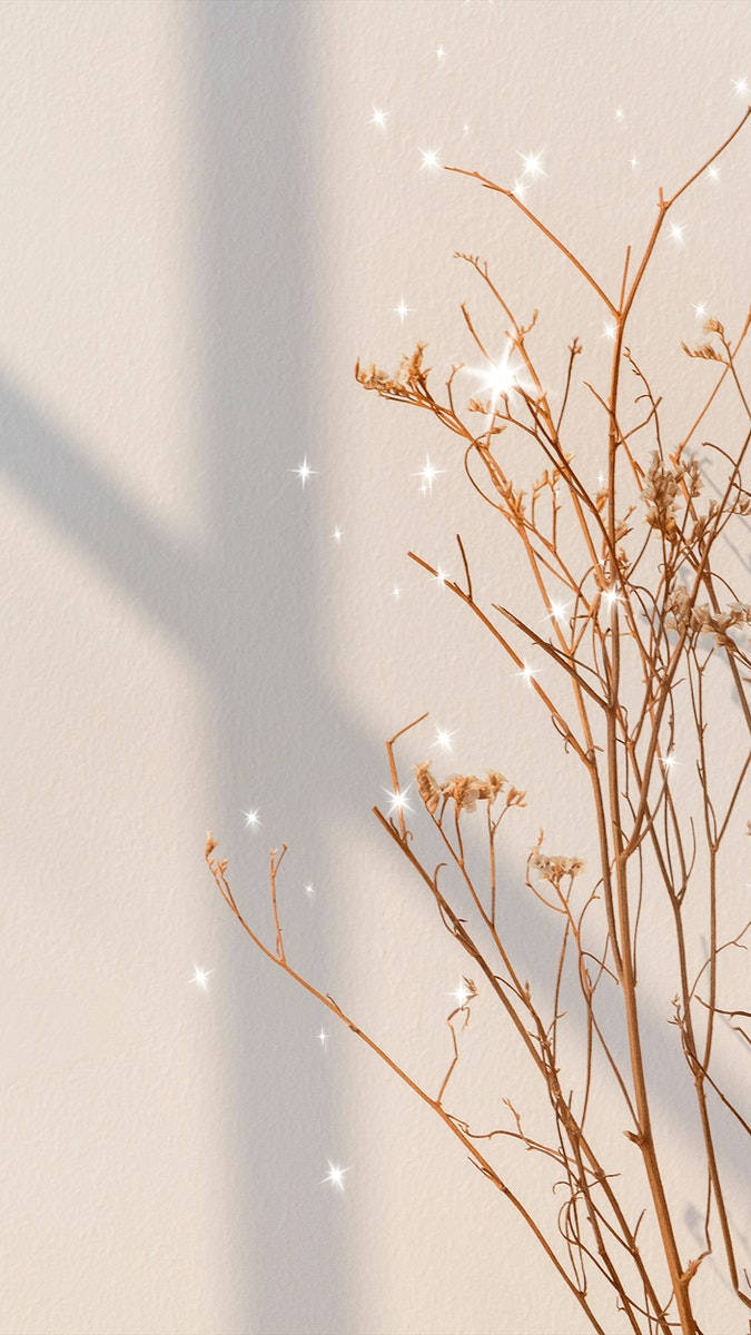 Teléfono estético beige con rama brillante Fondos de pantalla