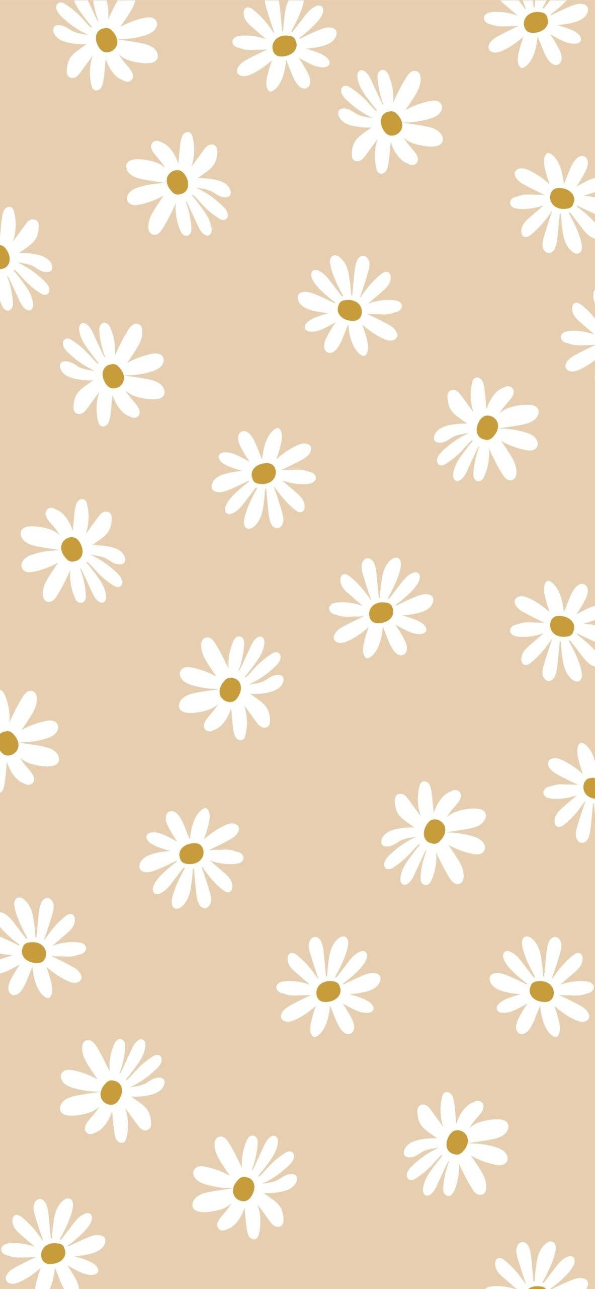 Teléfono estético beige con flores de margarita Fondos de pantalla