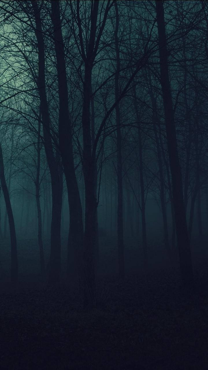 Teléfono Oscuro Bosque Escalofriante Fondos de pantalla