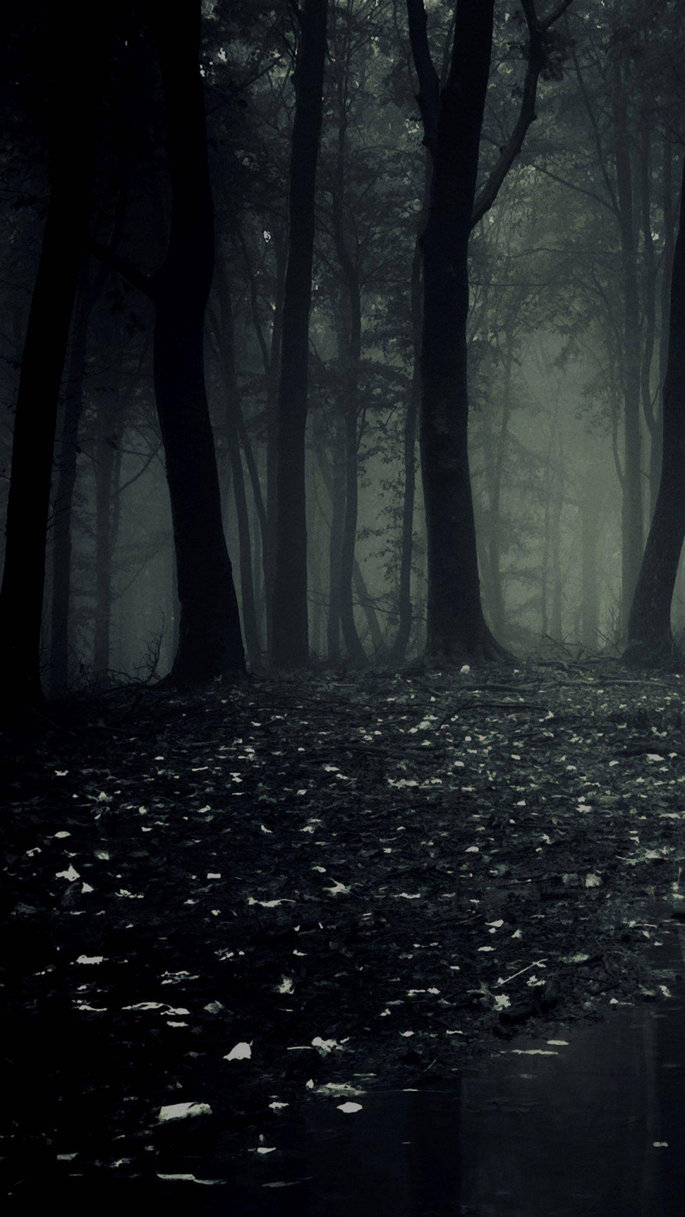 Teléfono oscuro bosque tenebroso Fondos de pantalla