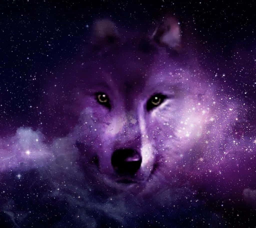 Tema de pantalla Galaxy Wolves para iPhone Fondos de pantalla