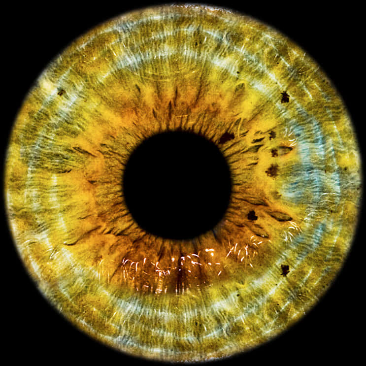 Textura de Iris de Ojo Humano en Primer Plano Fondos de pantalla