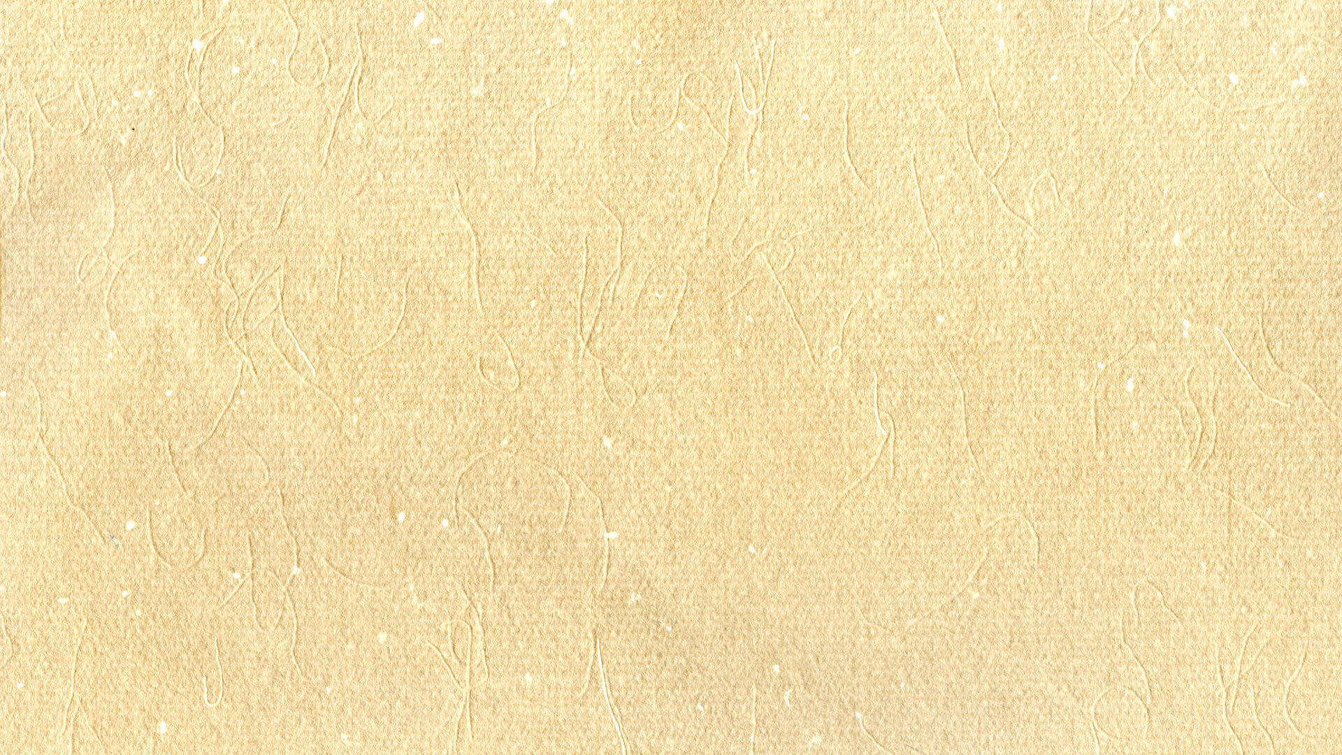 Textura de papel beige de fondo Fondos de pantalla