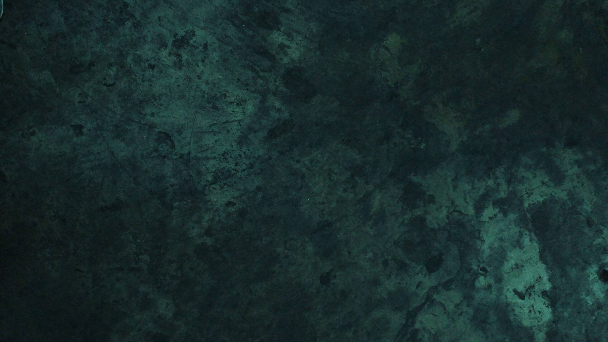 Textura de pared verde Fondos de pantalla