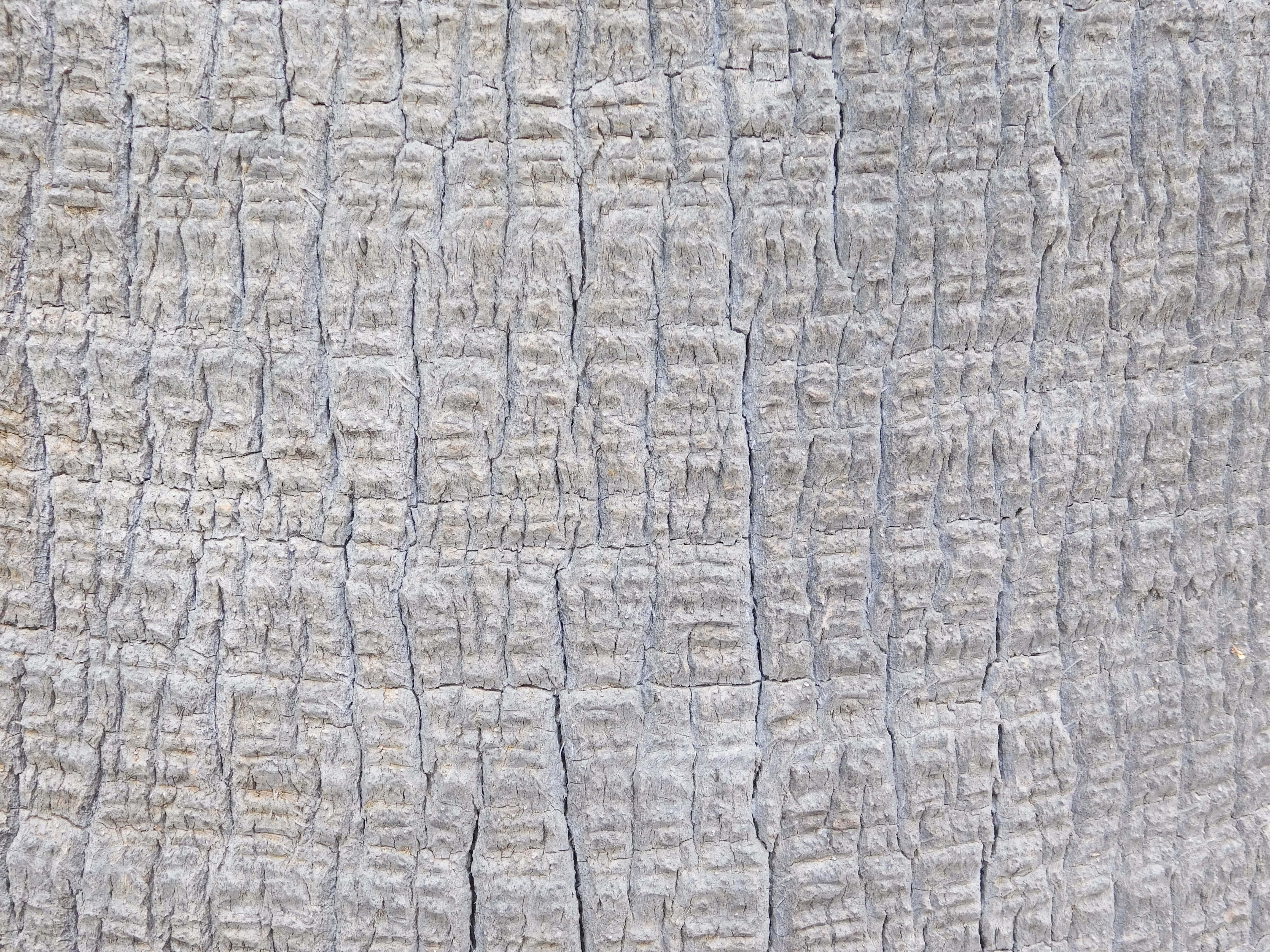 Textura de tronco de árbol Fondos de pantalla