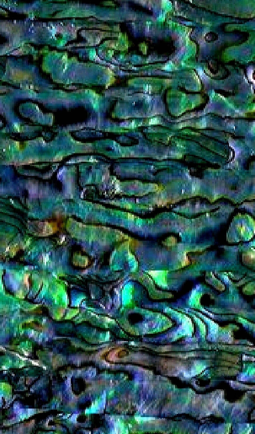 Texturas Coloridas de Concha de Abulón Fondos de pantalla