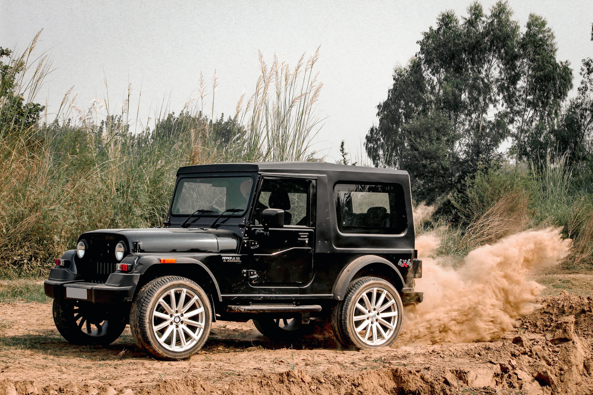 Thar negro 4K en la naturaleza