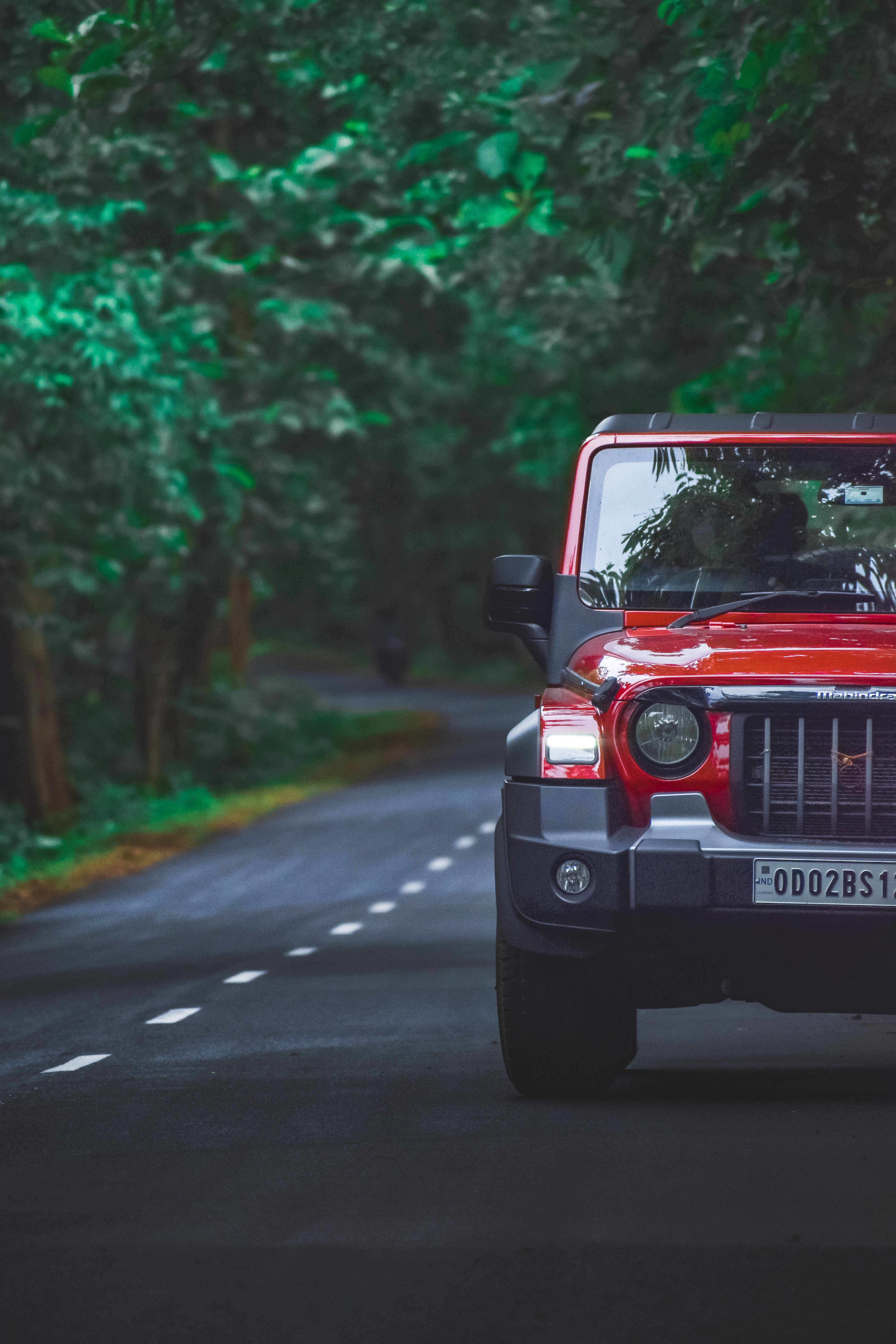 Thar Rojo 4K - En Medio de la Naturaleza Verde Fondos de pantalla