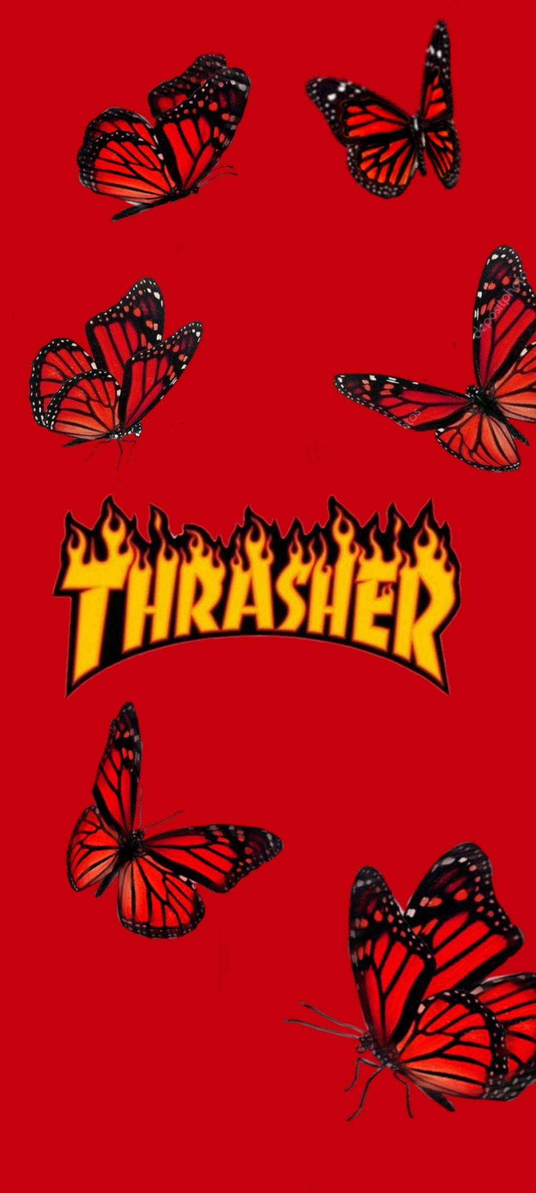 Thrasher Mariposas Rojas Fondos de pantalla