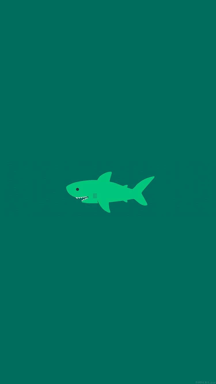 Tiburón verde lindo Fondos de pantalla
