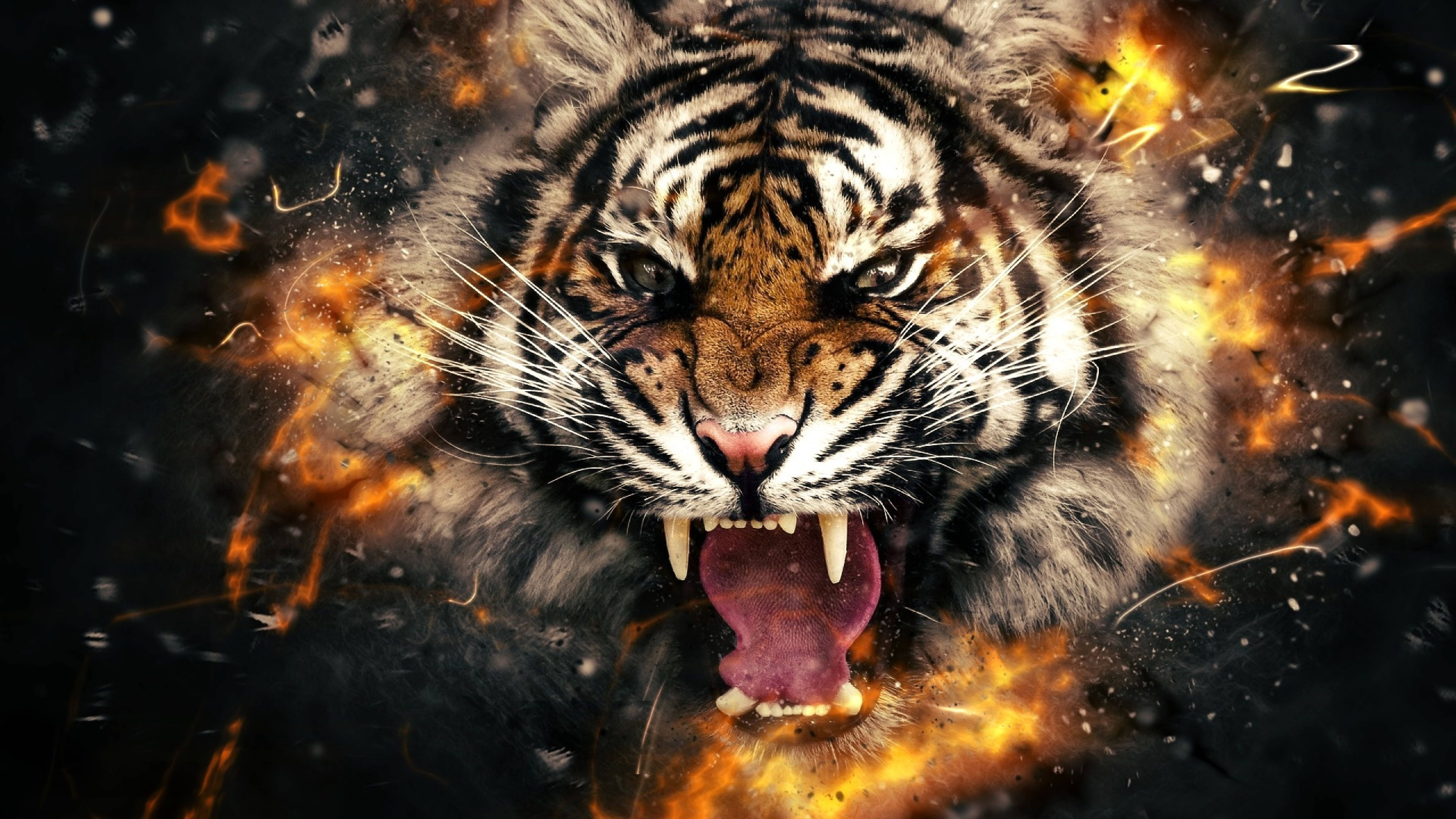 Tigre Furioso 8K UHD Fondos de pantalla