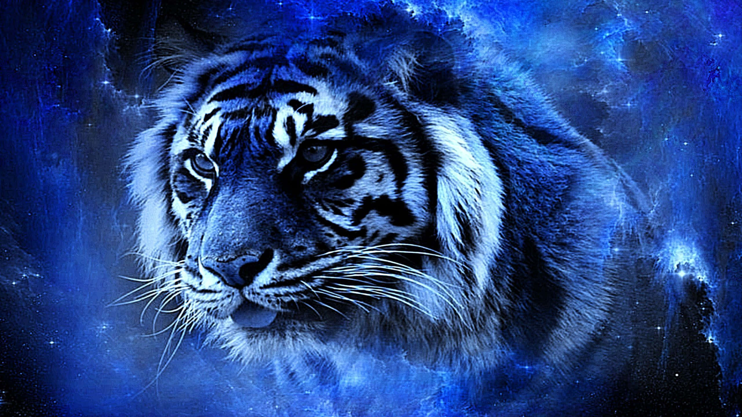 Tigre Indio Azul Fondos de pantalla