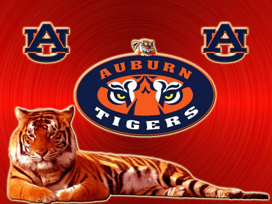 Tigre rugiente en un día de partido de Auburn Football Fondos de pantalla