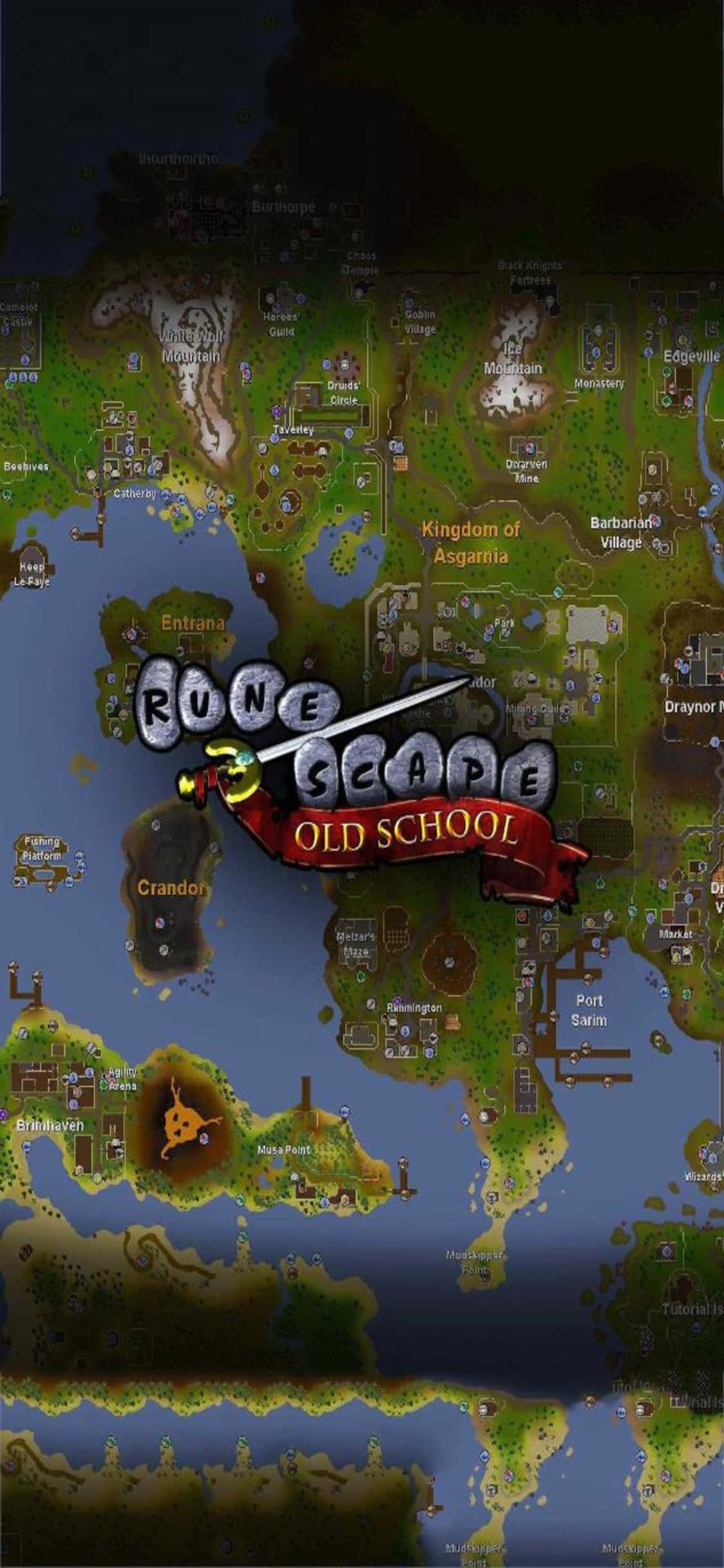Tilemap en Fondo Oldschool de Runescape para iPhone X Fondos de pantalla