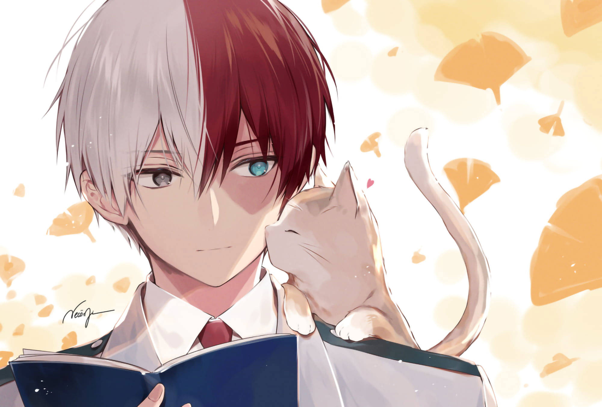Todokori Tierno con un Gato Fondos de pantalla