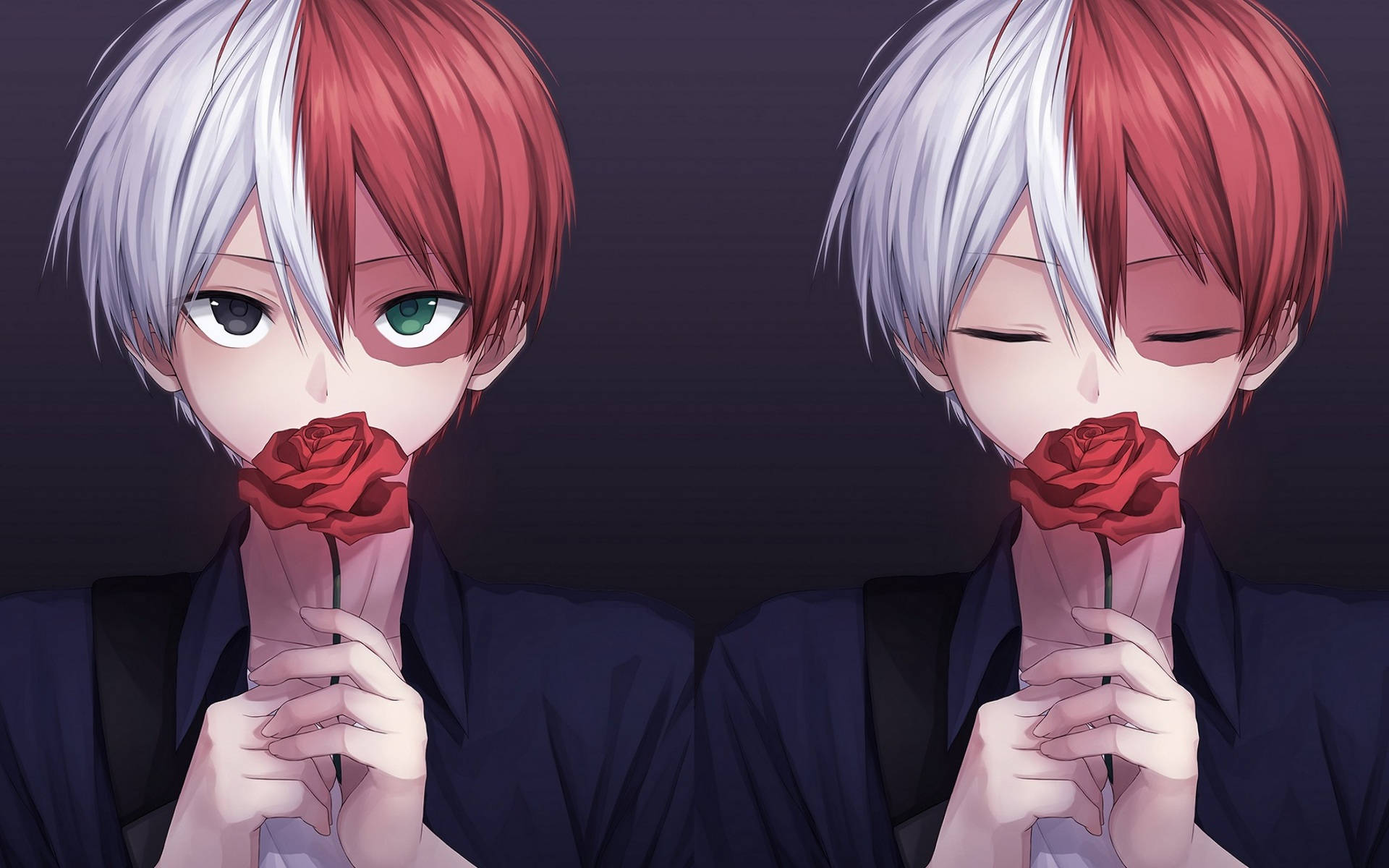 Todoroki lindo sosteniendo una rosa roja Fondos de pantalla