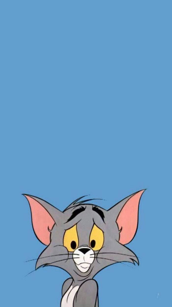 Tom caricatura estética luciendo confundido Fondos de pantalla