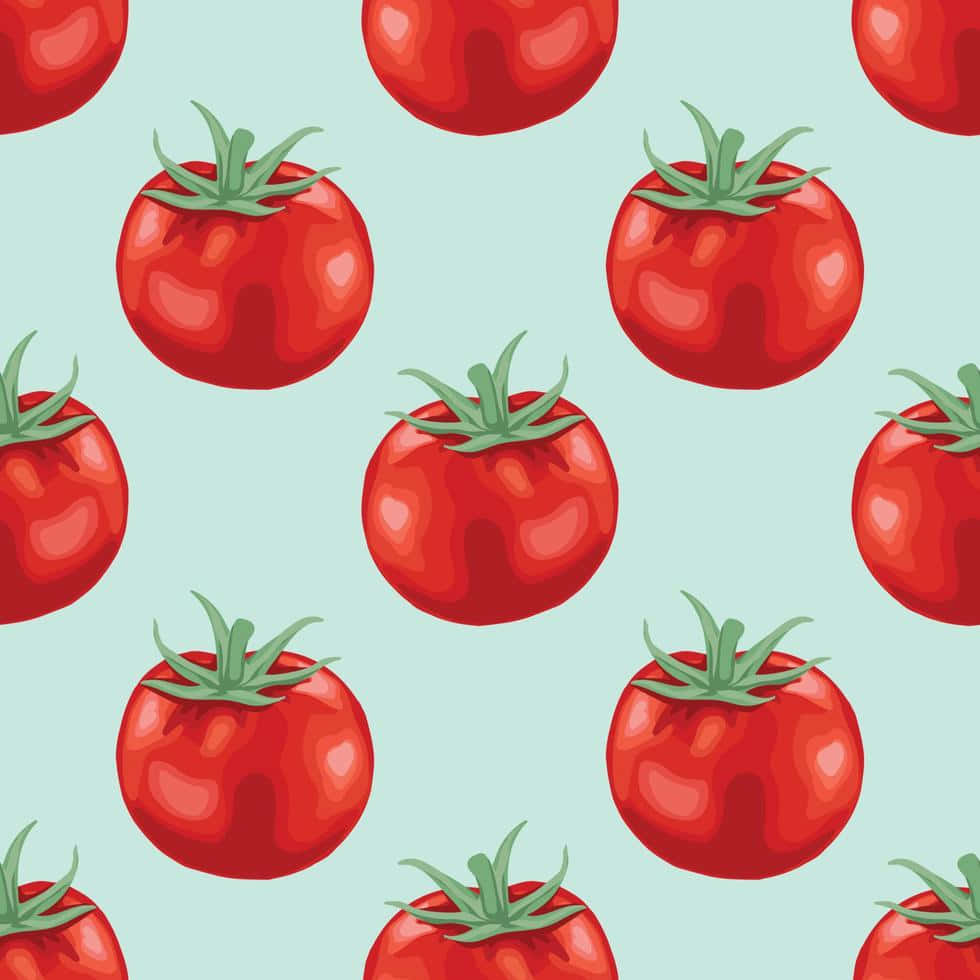 Tomate Frutas Planta Linda Fondos de pantalla