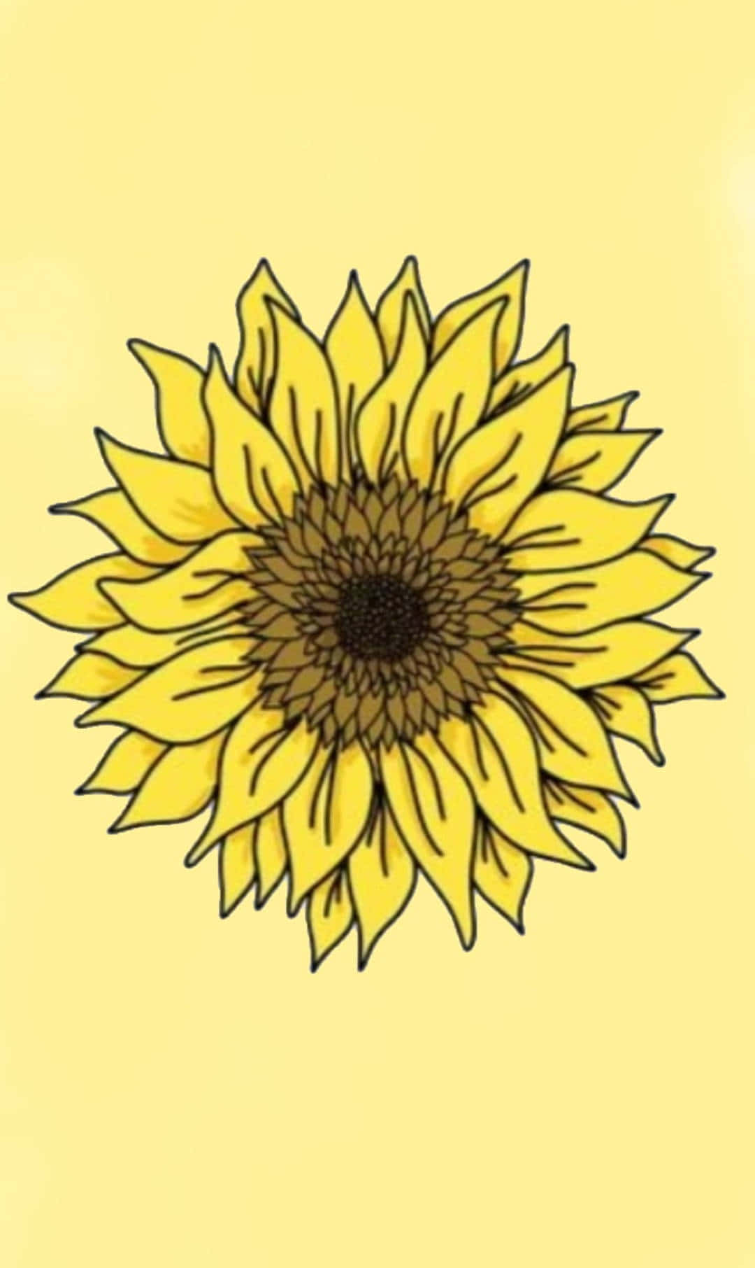 Tómate un momento para detenerte y apreciar la belleza del girasol. Fondos de pantalla