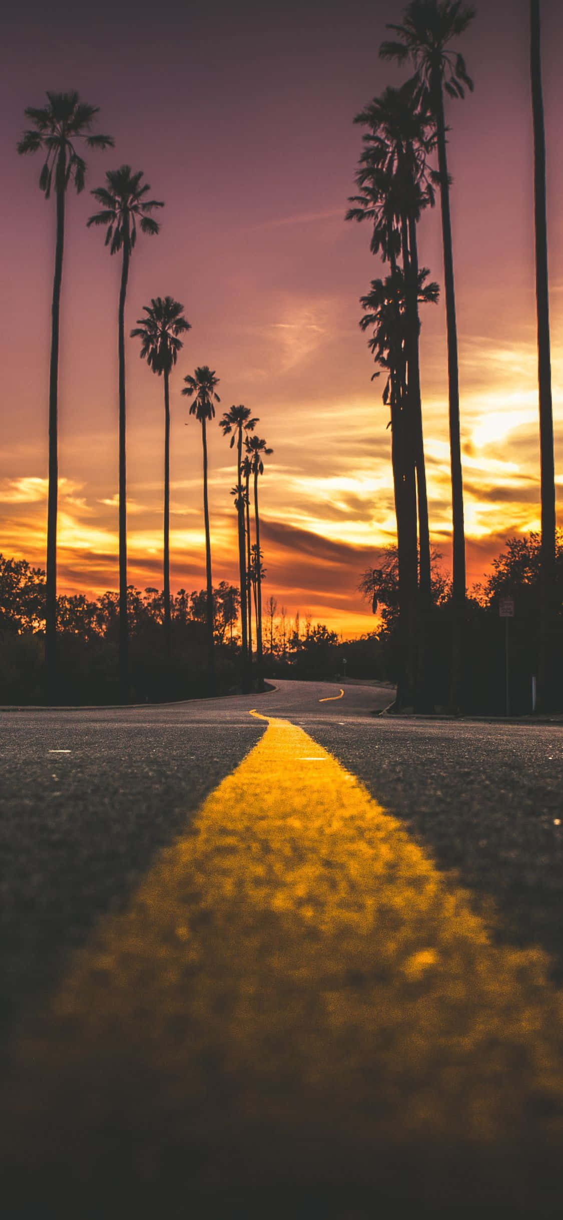 Tómate un momento para disfrutar de la belleza de un atardecer tranquilo Fondos de pantalla