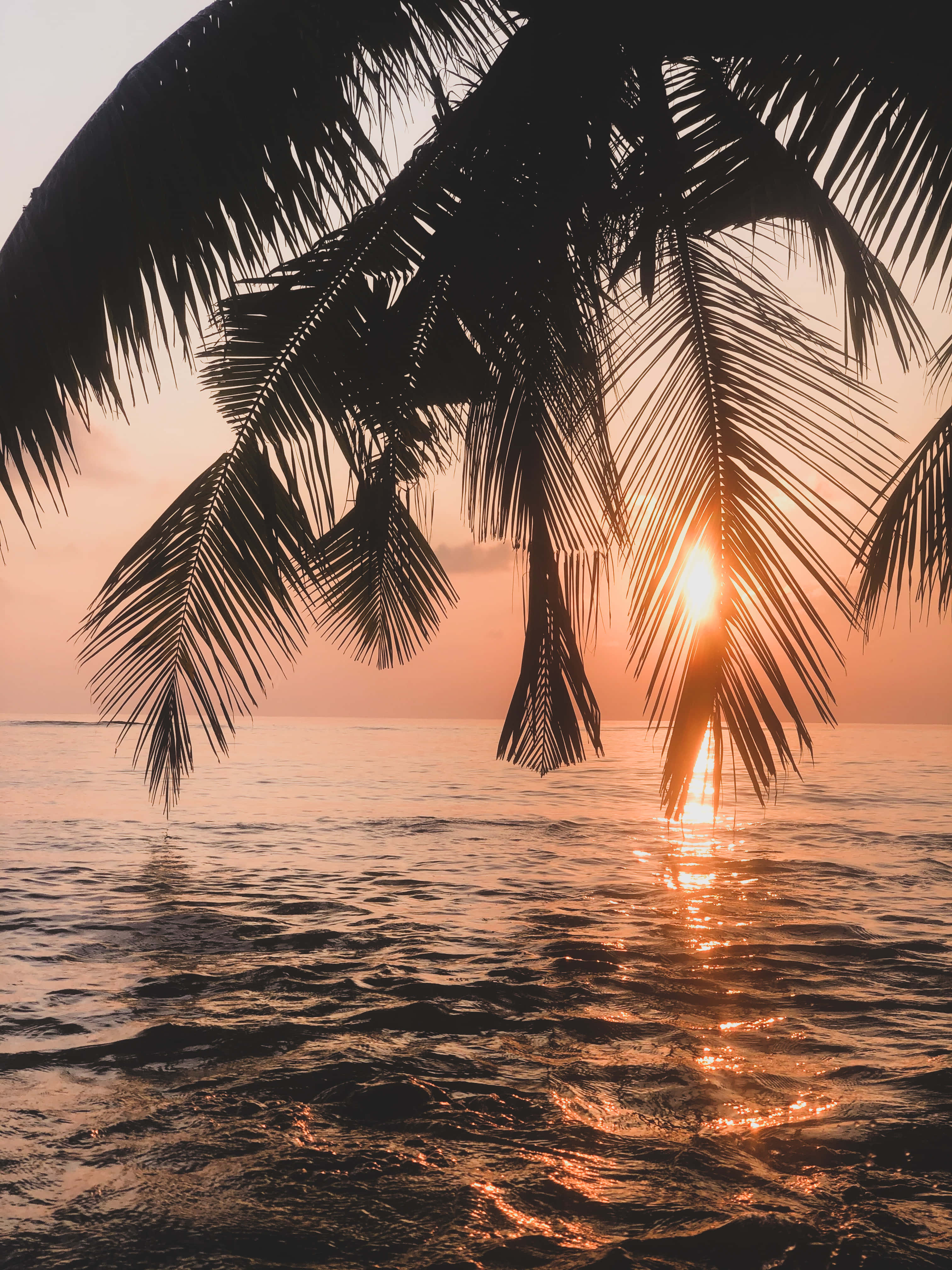 Tómate un Momento para Disfrutar la Belleza de un Atardecer en la Playa Fondos de pantalla