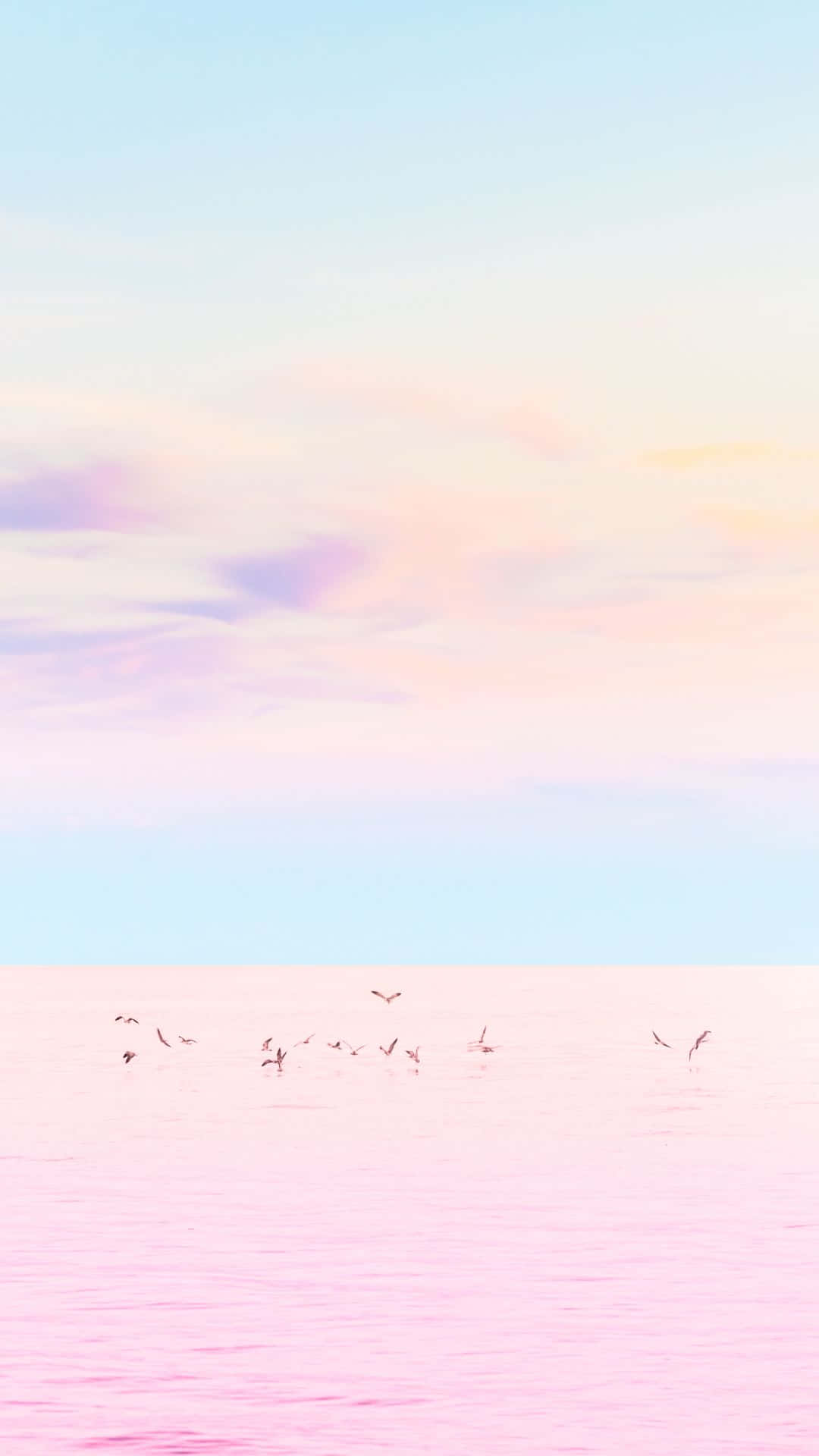 Tono Rosa Pastel Delicado que Crea un Fondo Sereno y Tranquilo Fondos de pantalla