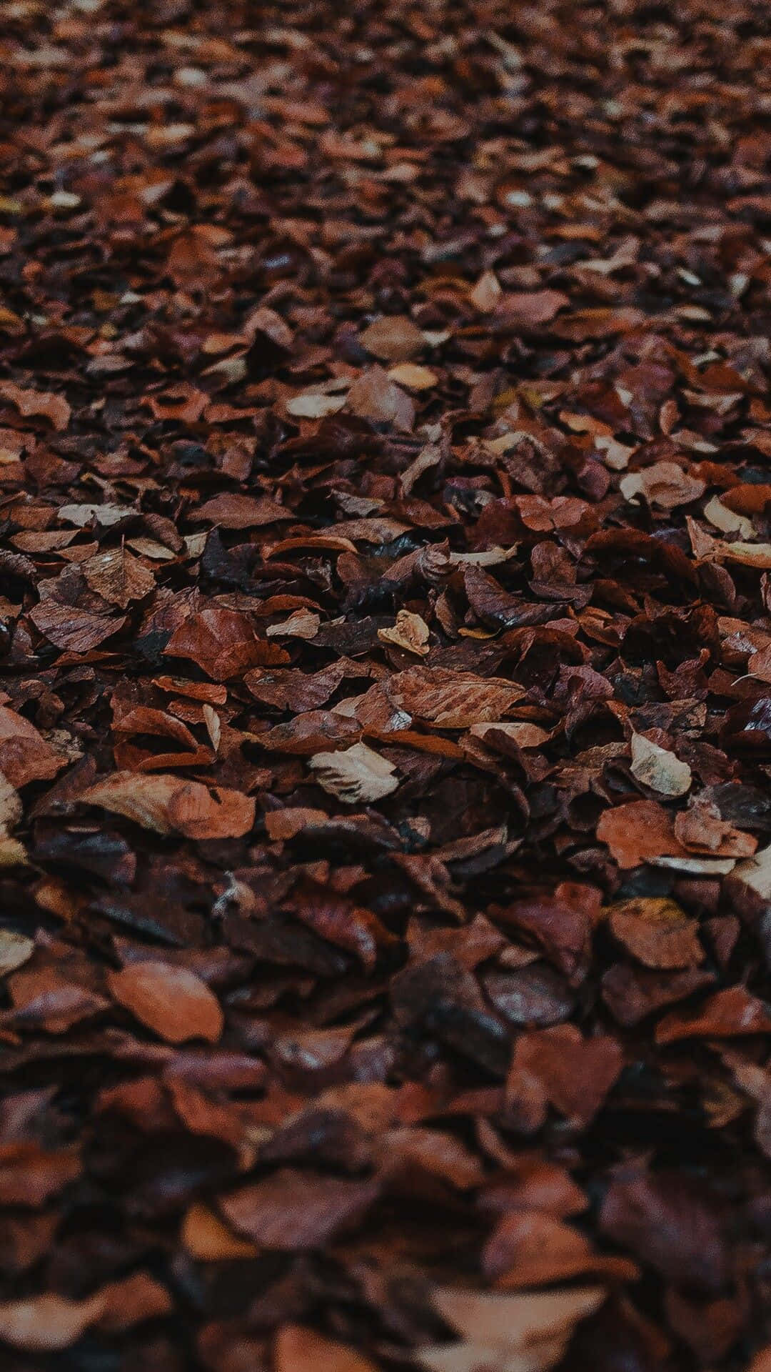 Tonos tierra y ricos acentúan este paisaje urbano minimalista: un homenaje a la belleza de la estética marrón Fondos de pantalla