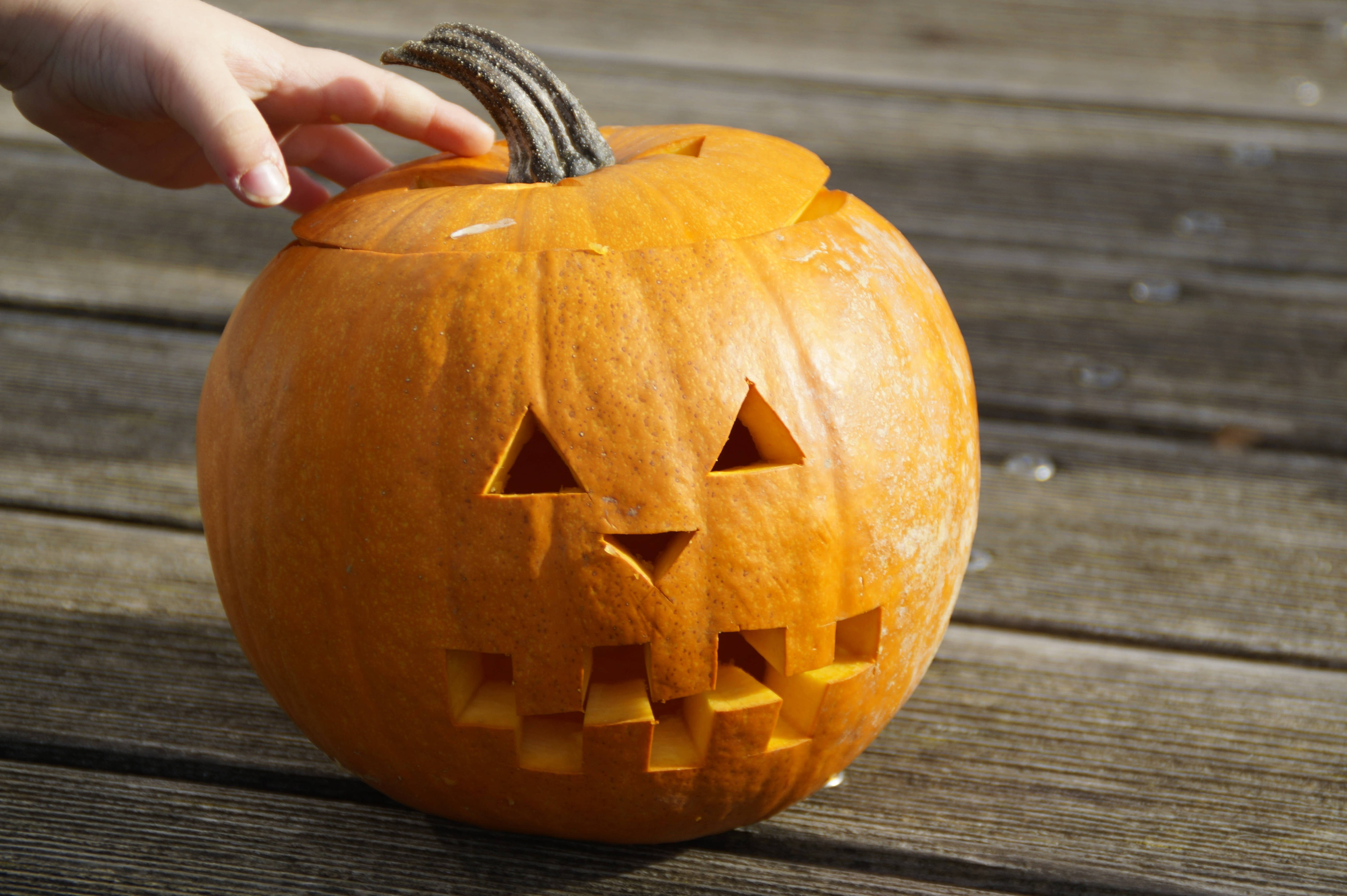 Toque de Calabaza de Halloween Linda Fondos de pantalla