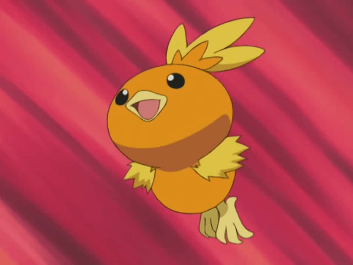 Torchic Saltando con Fondo Rojo Fondos de pantalla