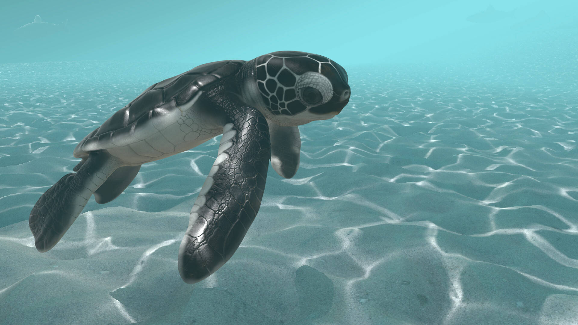 Tortuga Bebé Genial Submarina Fondos de pantalla
