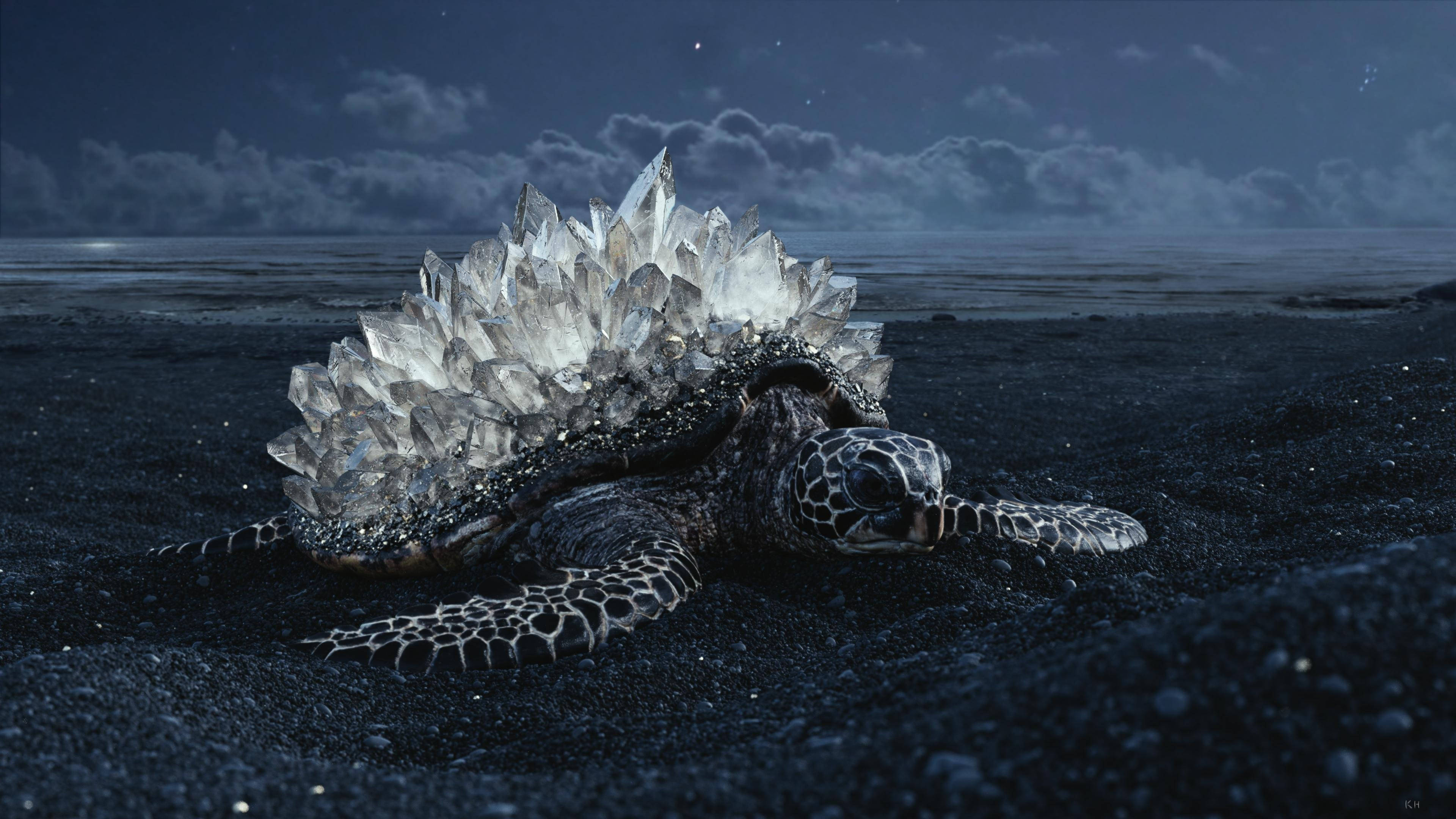 Tortuga genial con caparazón de cristal Fondos de pantalla