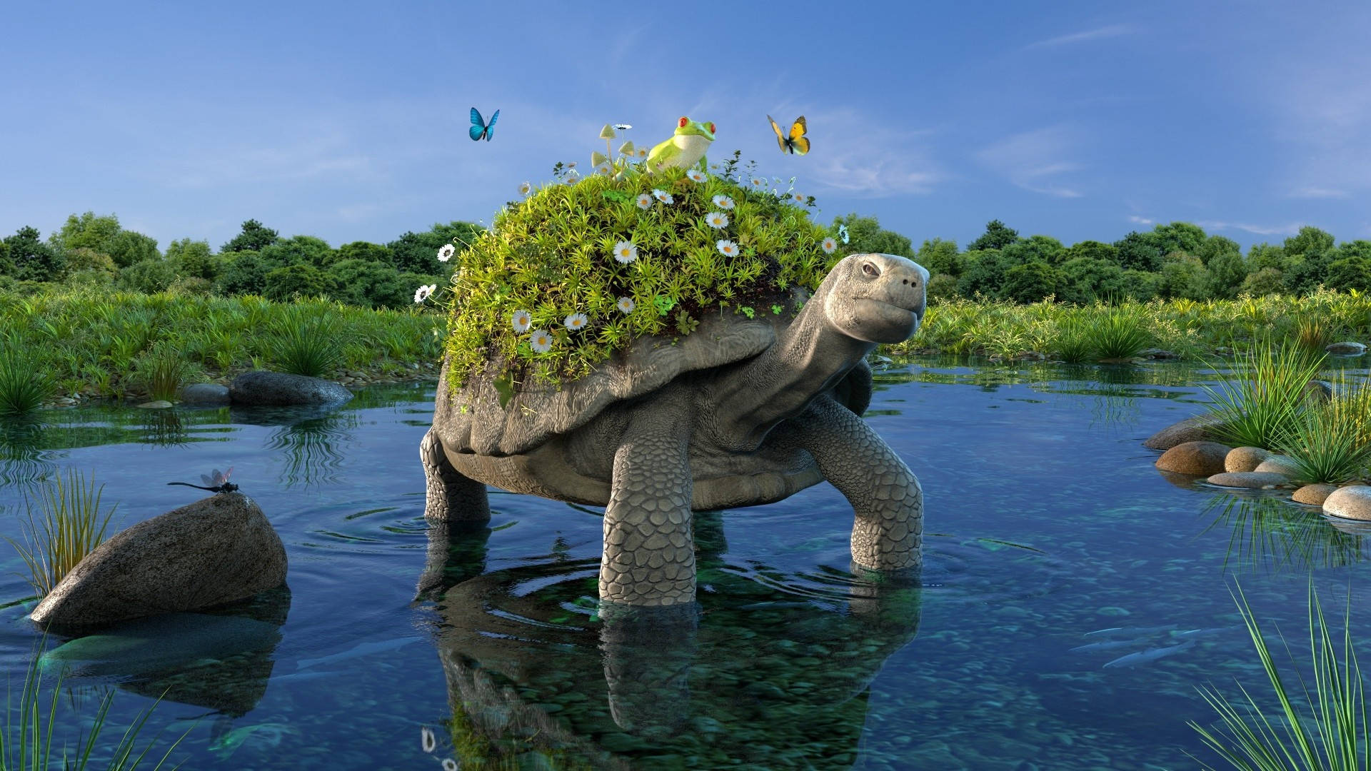Tortuga genial con caparazón florido Fondos de pantalla