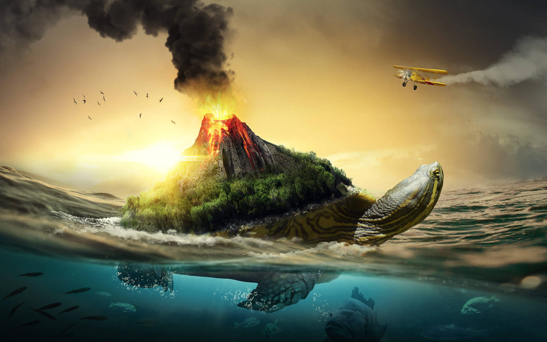 Tortuga Genial con Volcán Fondos de pantalla