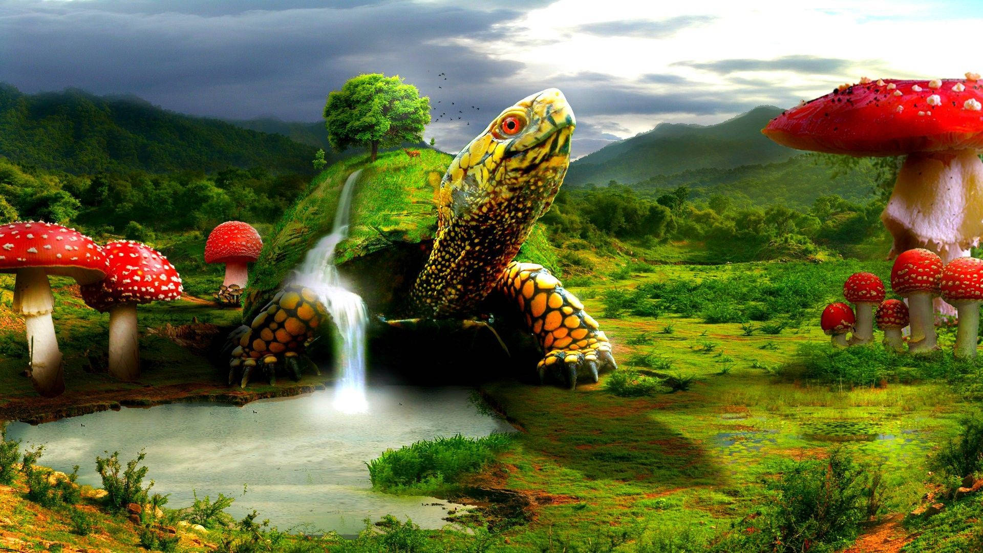 Tortuga genial de fantasía digital Fondos de pantalla