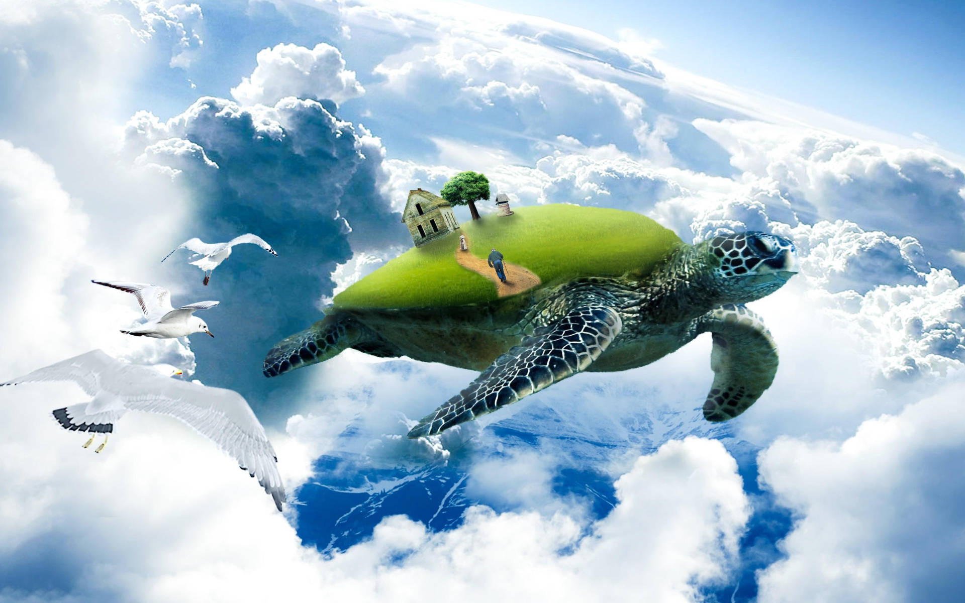 Tortuga genial volando sobre las nubes Fondos de pantalla