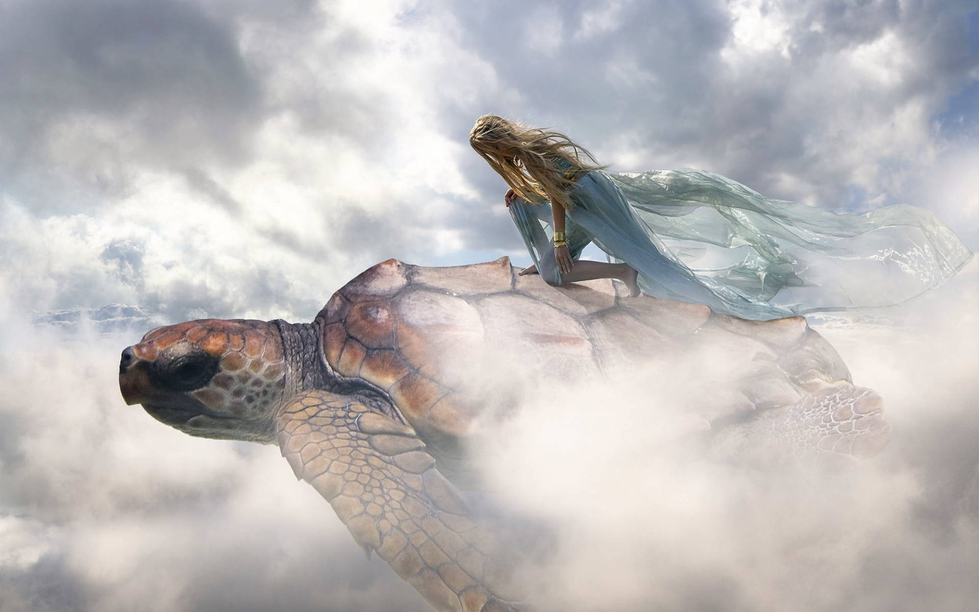 Tortuga Genial y Mujer Fondos de pantalla