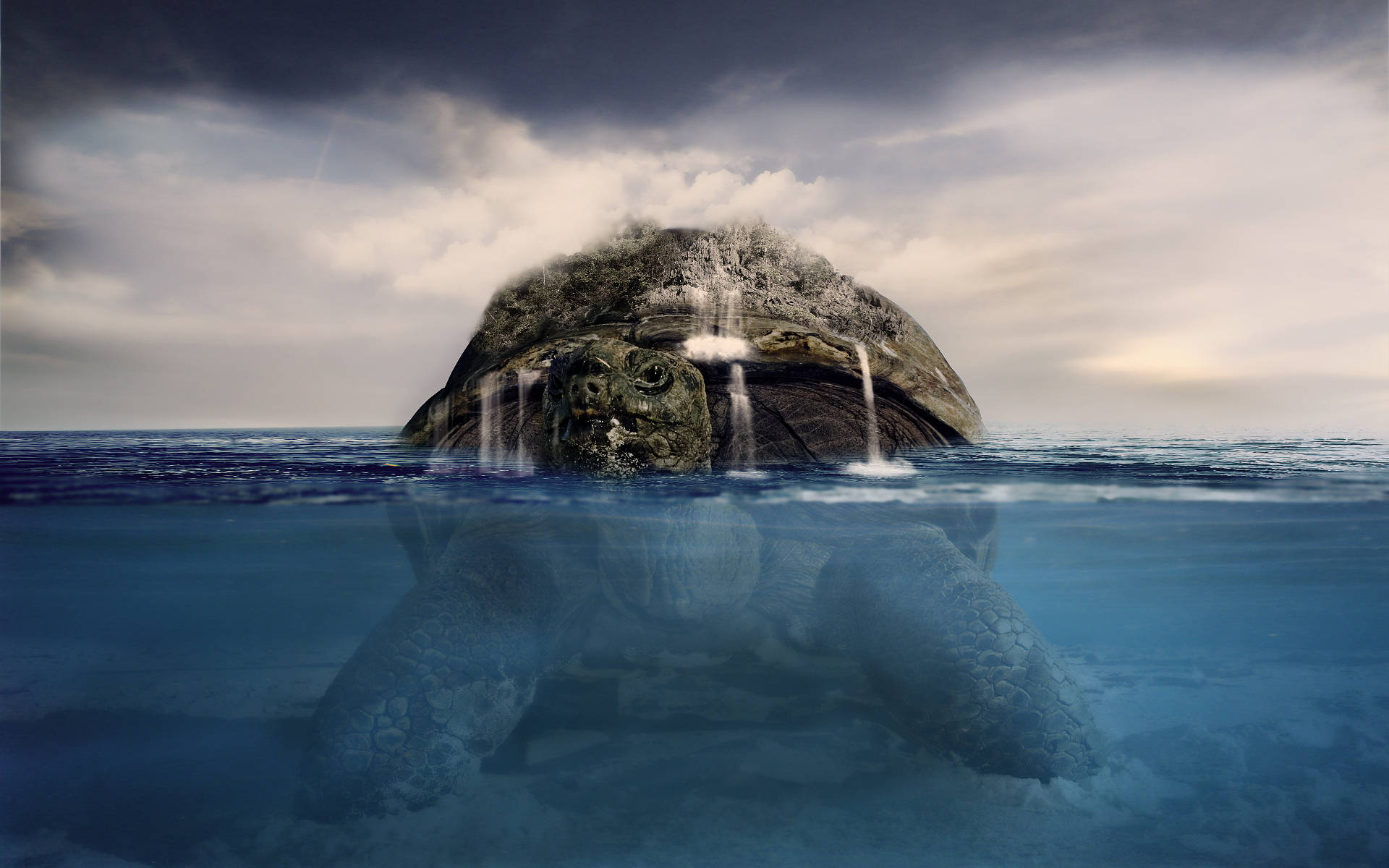 Tortuga gigante y genial en el mar Fondos de pantalla