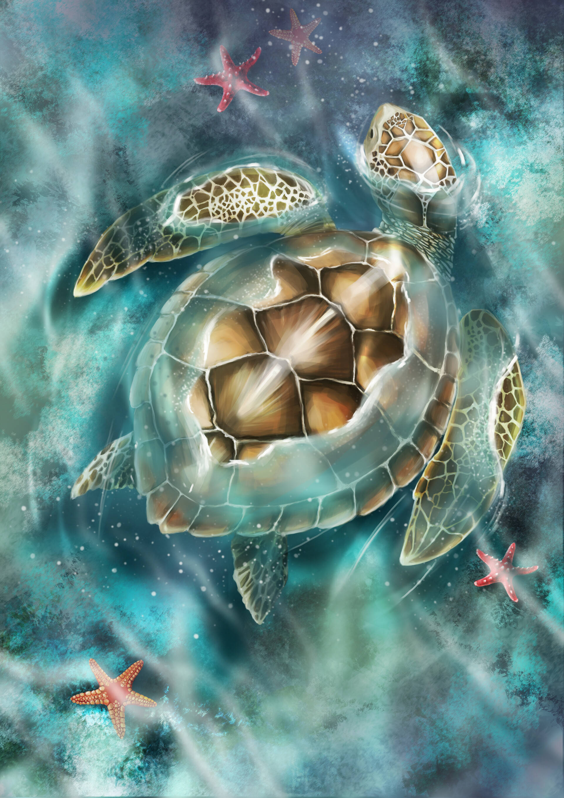 Tortuga linda en el agua Fondos de pantalla