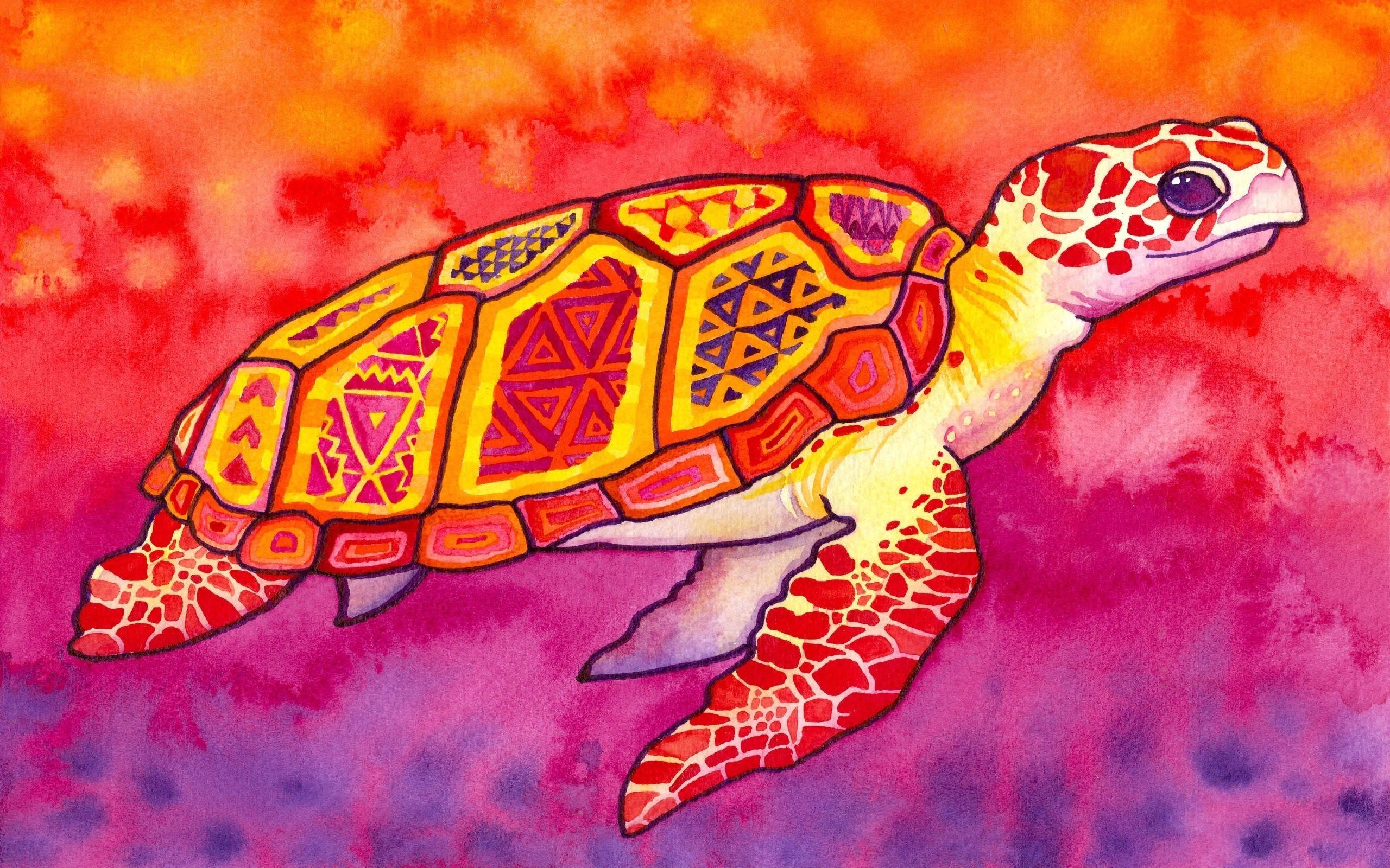 Tortuga Linda Patrón Rojo Fondos de pantalla
